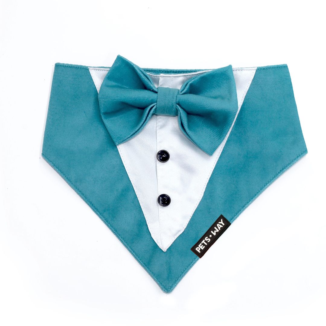 Turquoise Luxury Velvet Tuxedo-petsway