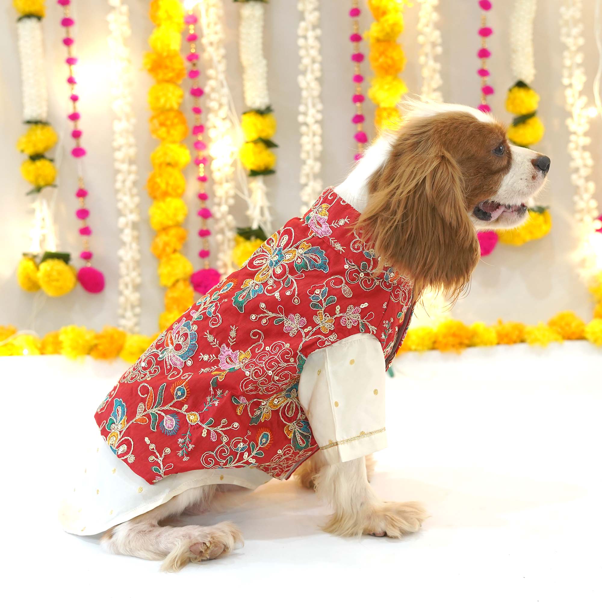 Utsav - Red Dog Kurta