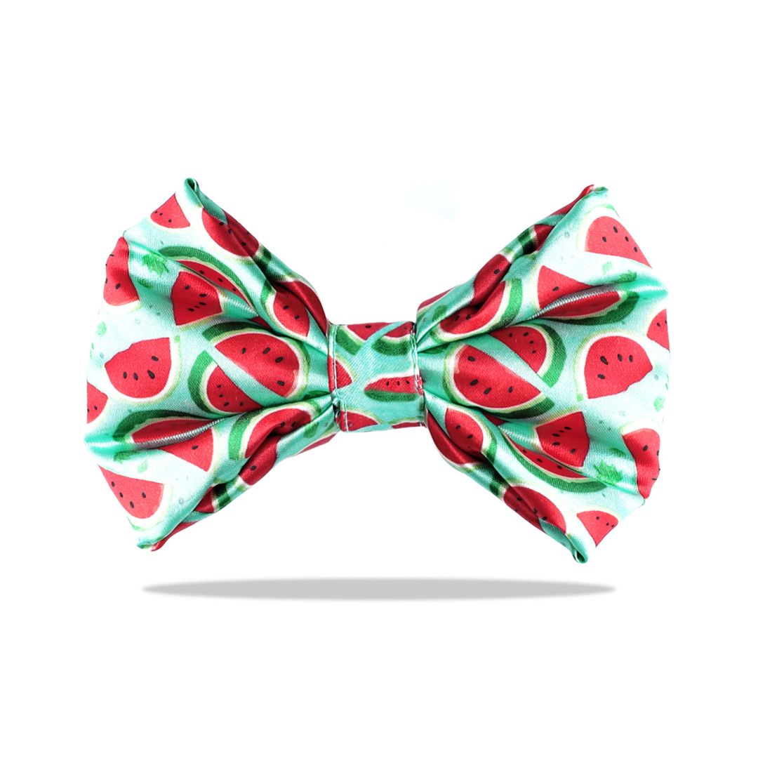 Watermelon Bow Tie-petsway