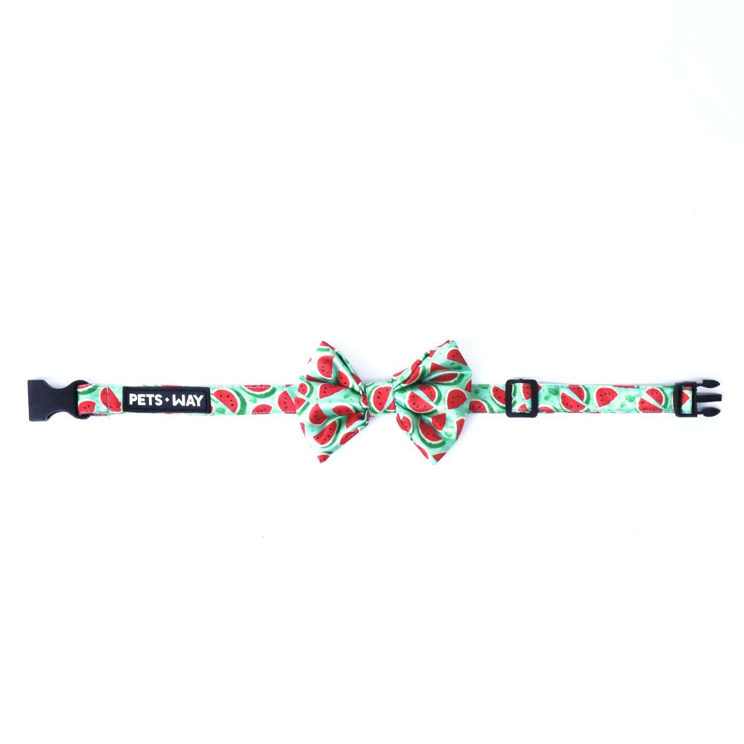 front size of Watermelon Bow Tie-petsway