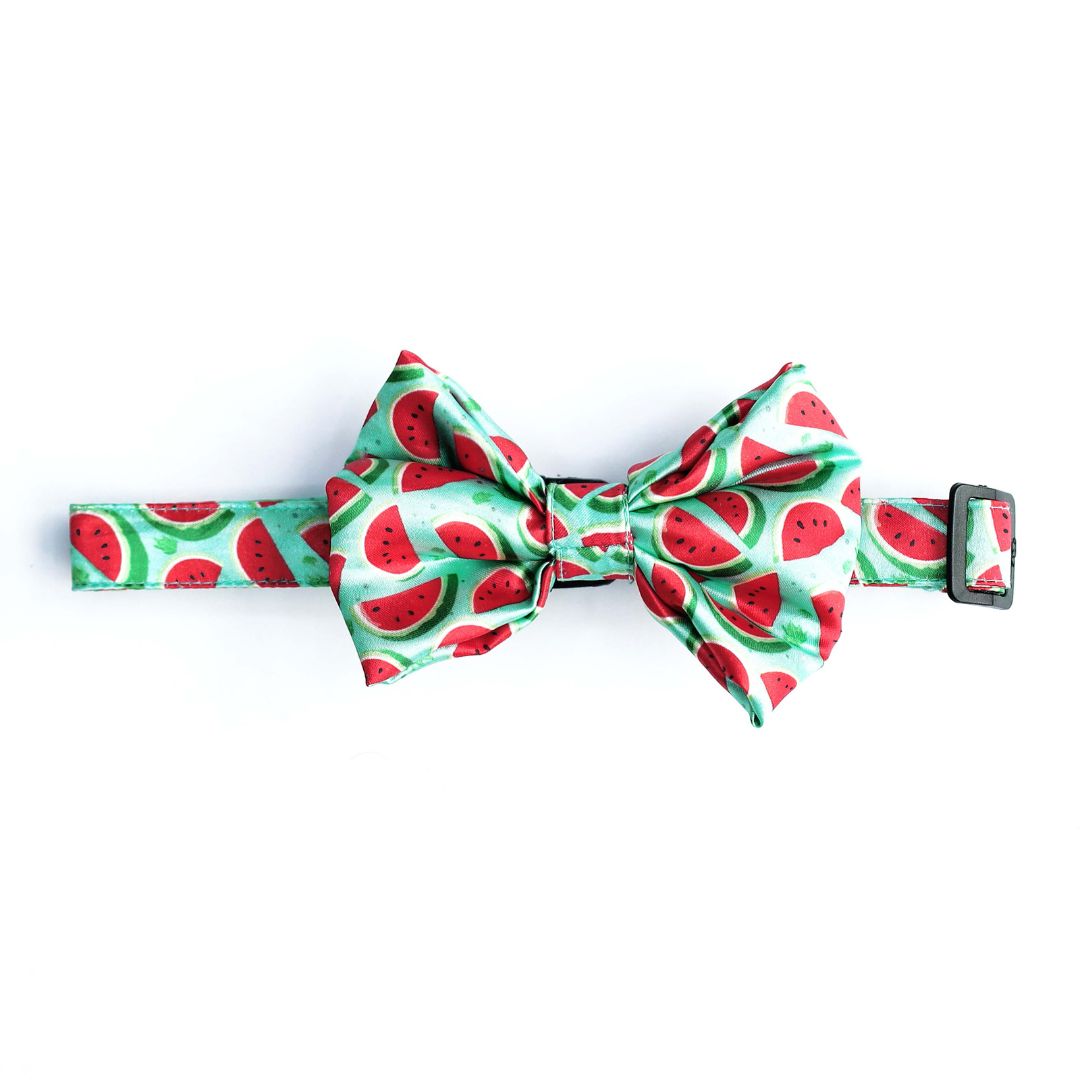 full-size of Watermelon Bow Tie-petsway