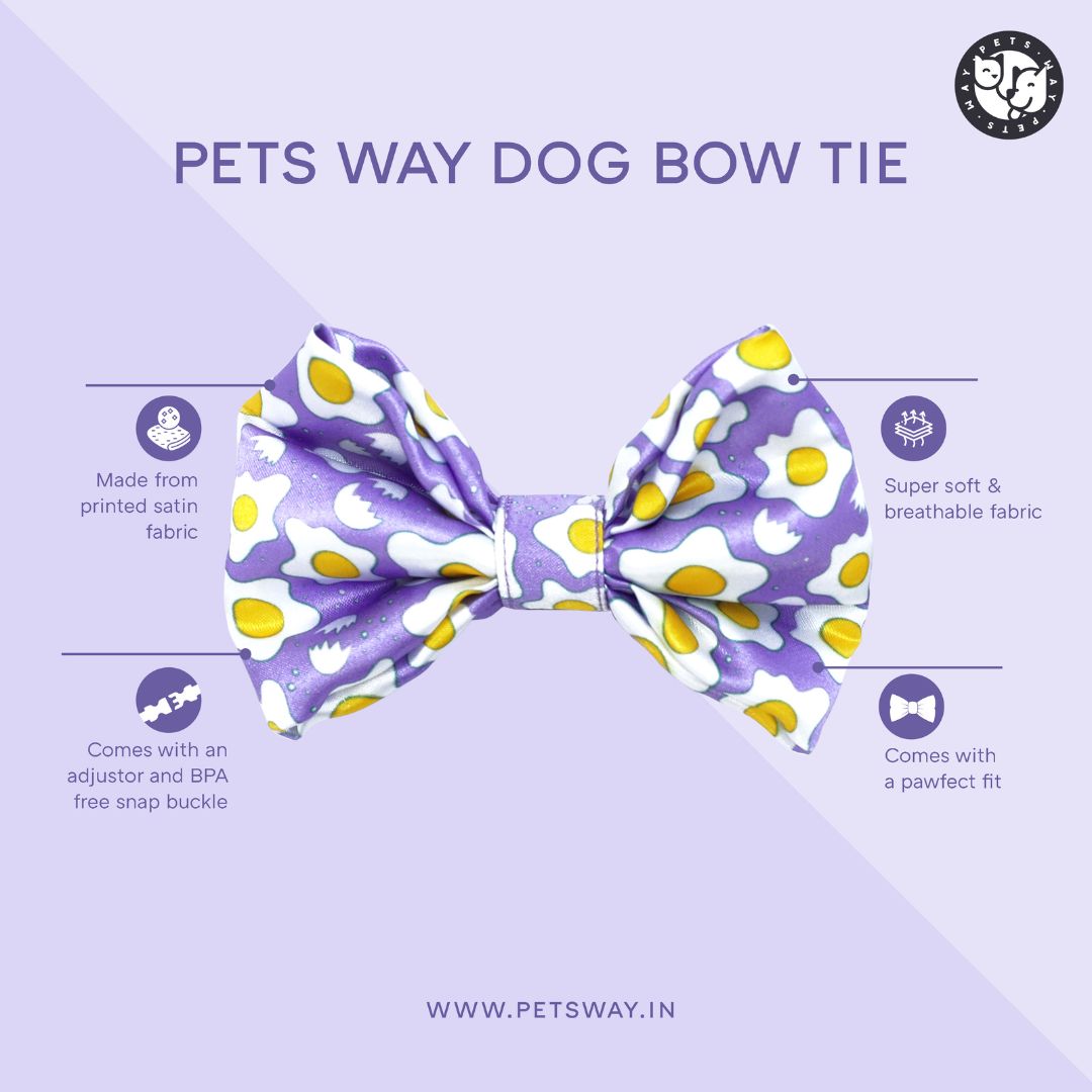 feature image of Watermelon Bow Tie-petsway