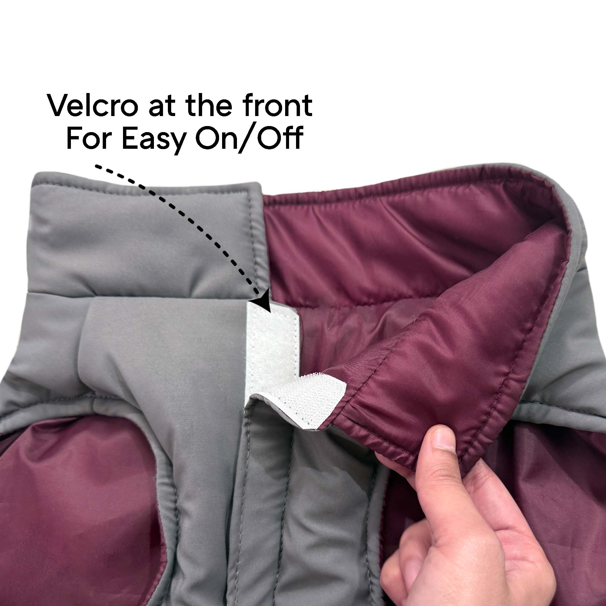 Frost- Wine Dog Jacket