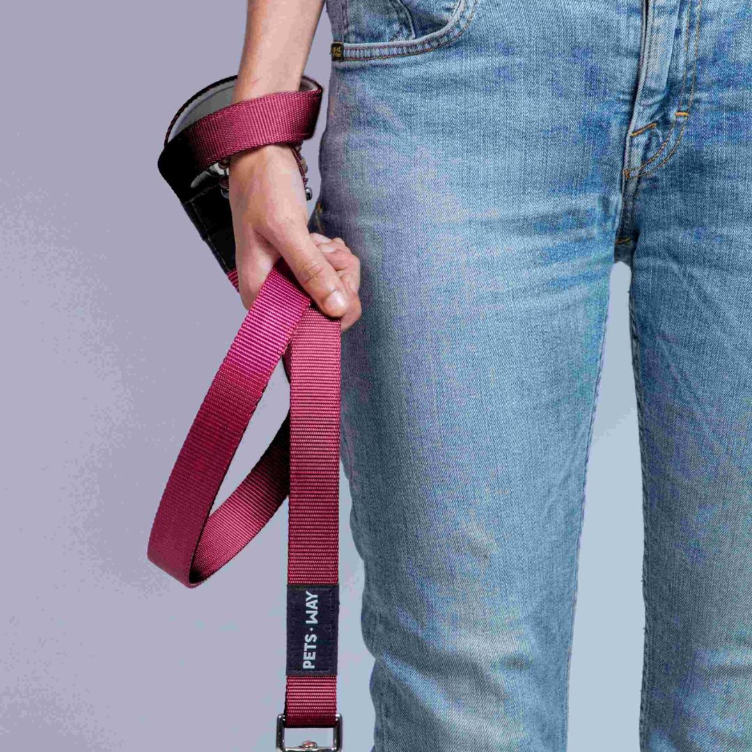 carry Wine Dog Leash-petsway