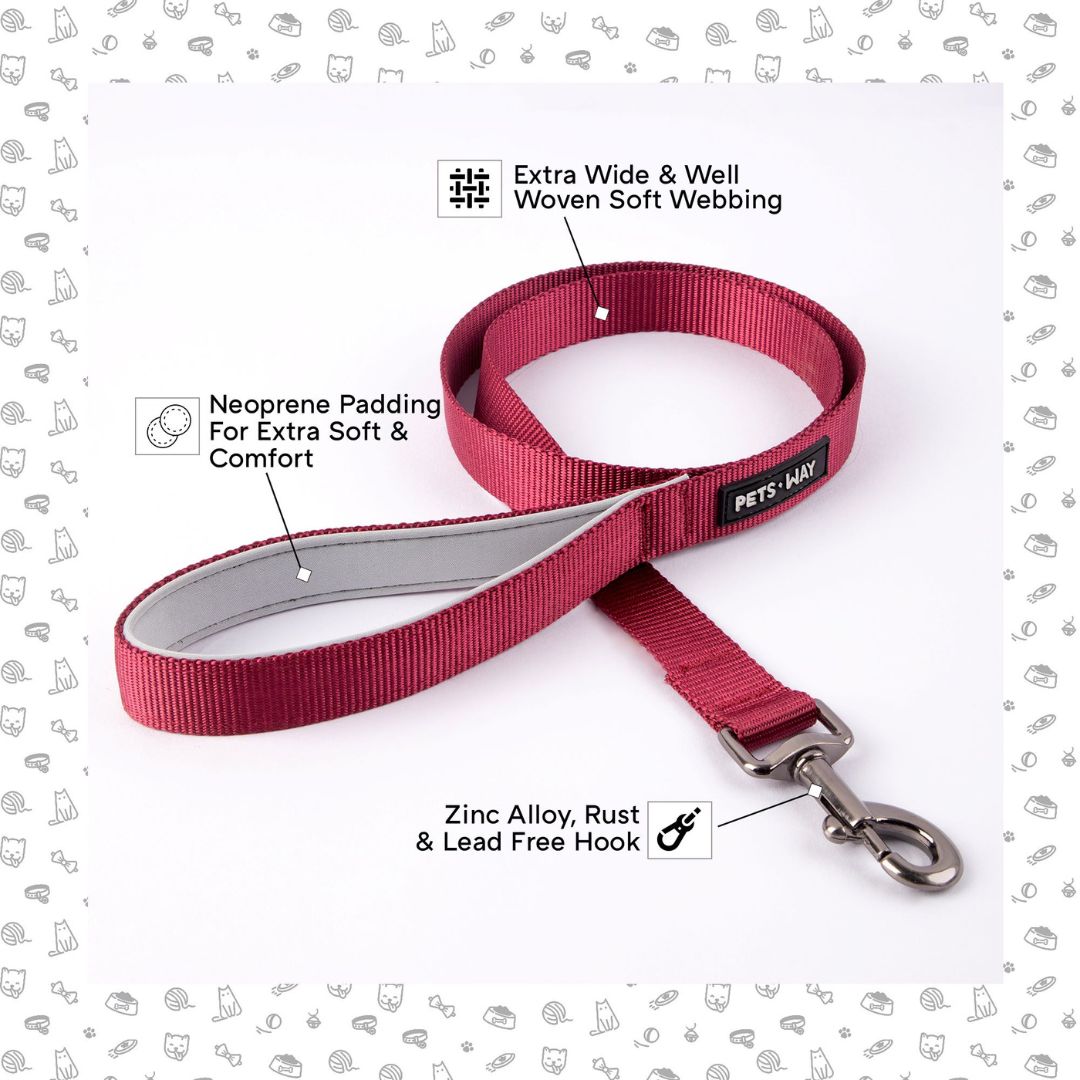 Feature image of Wine Dog Leash-petsway