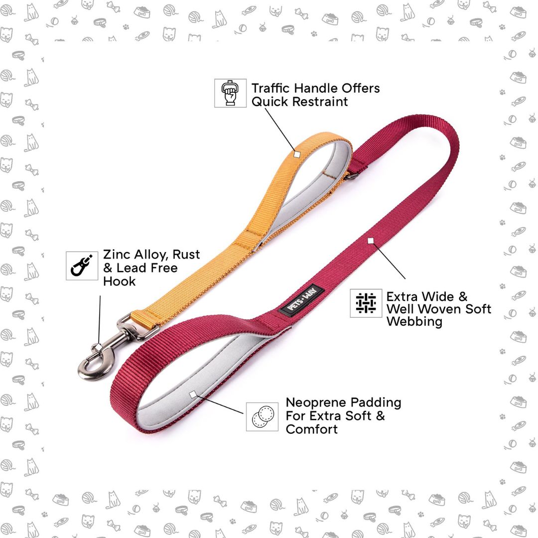 feature image of Wine & Honey dual-handle dog leash-petsway