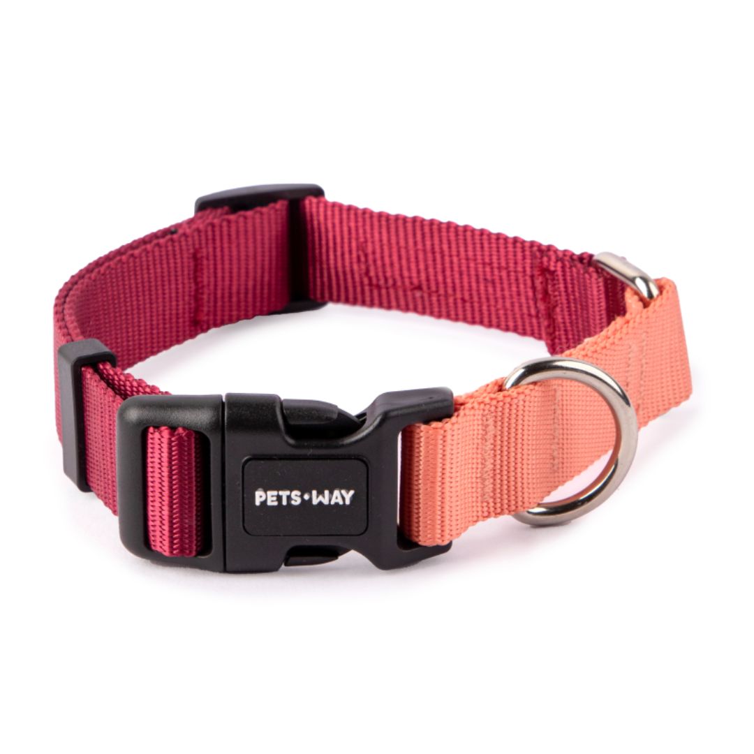 Wine & Peach - Dual Color Dog Collar -petsway