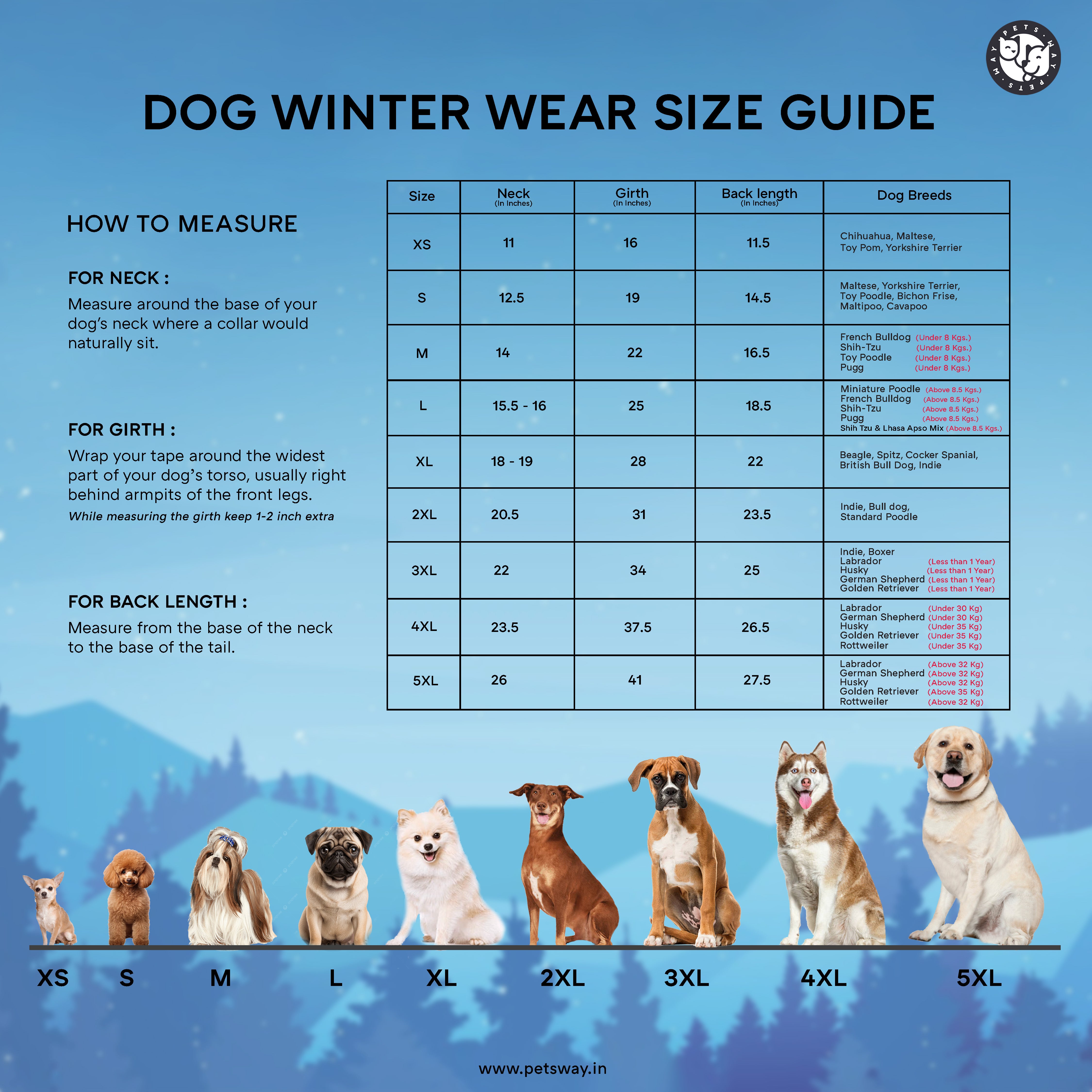 Frost- Grey Dog Jacket