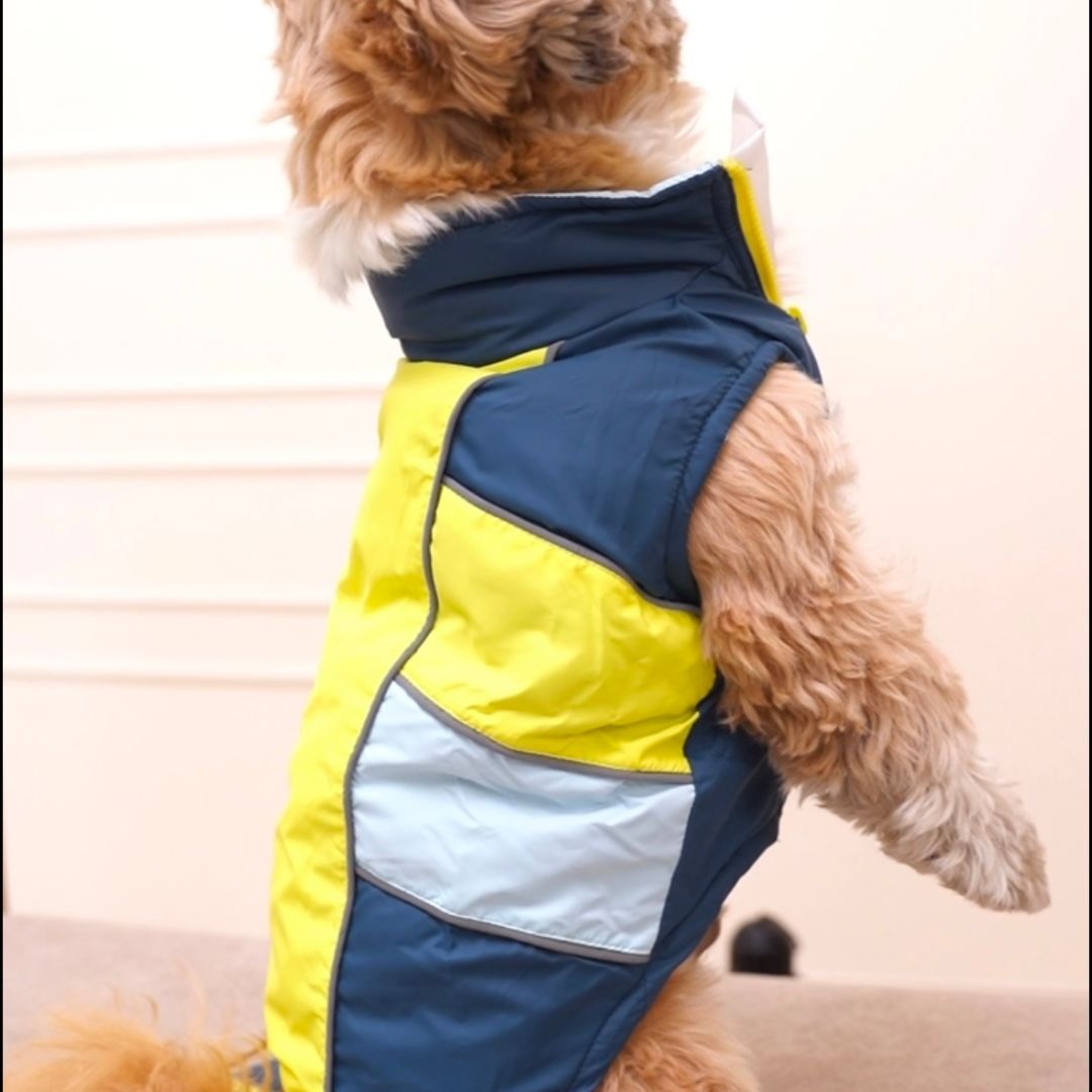 Cozy Winterberry - Airforce Dog Jacket Petsway