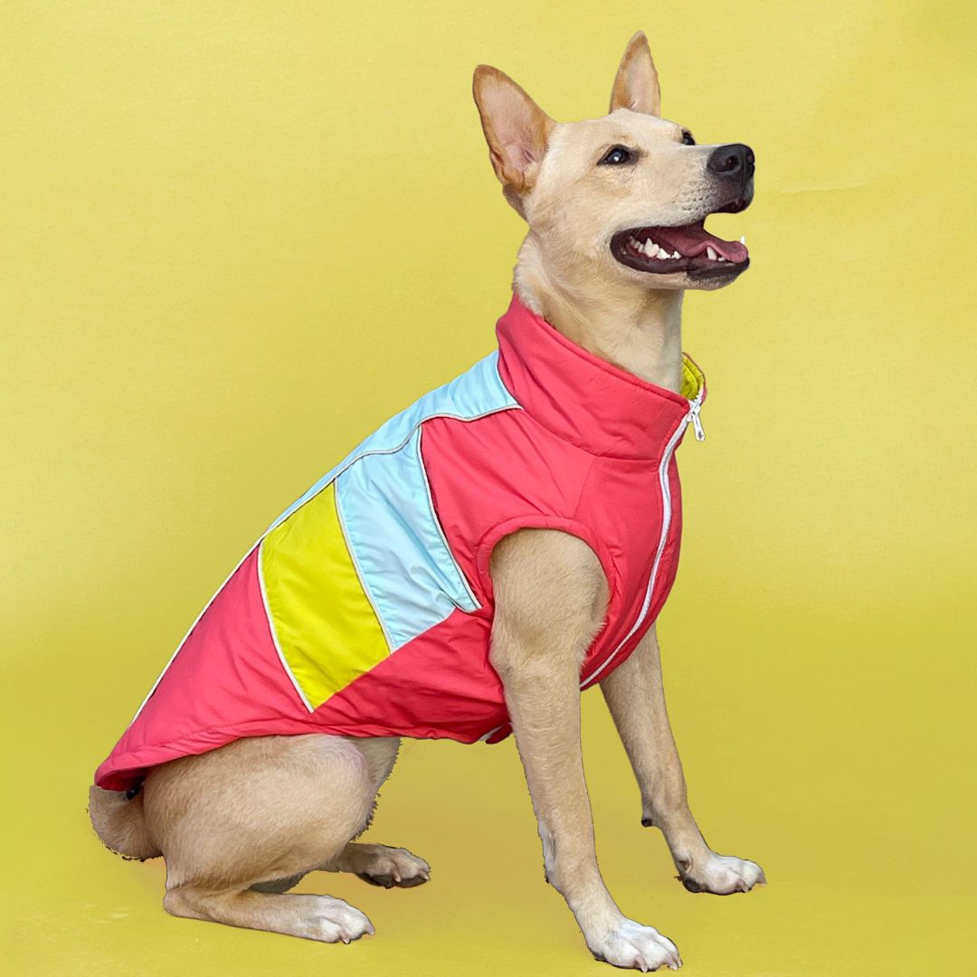 Adorable Winterberry - Coral Dog Jacket Petsway