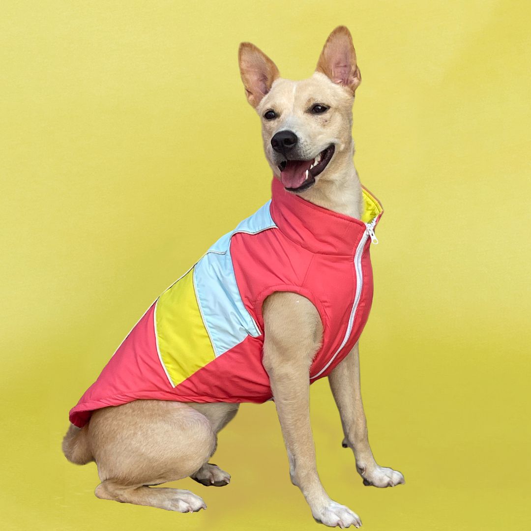 Stylish cozy Winterberry - Coral Dog Jacket Petsway