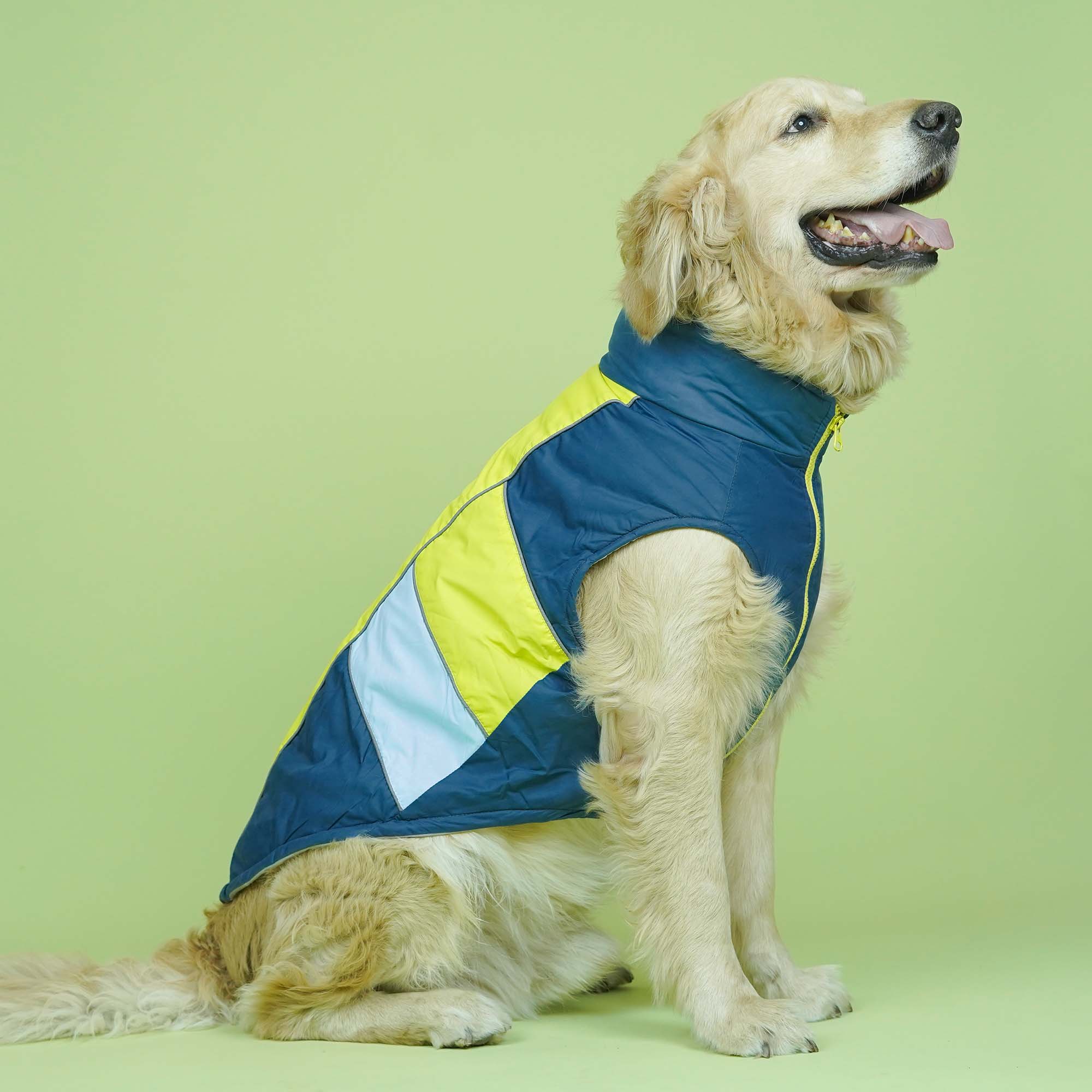 Winterberry - Airforce Dog Jacket