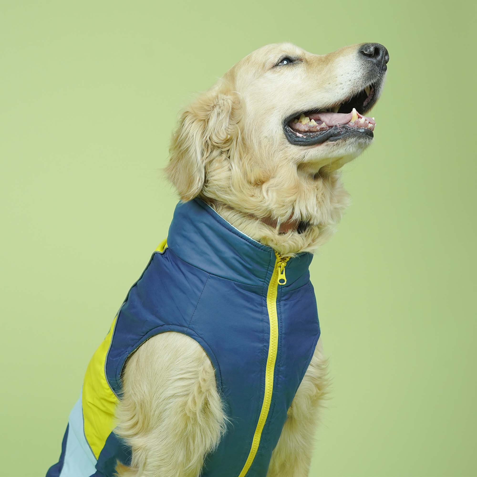 Winterberry Snow Flake Combo