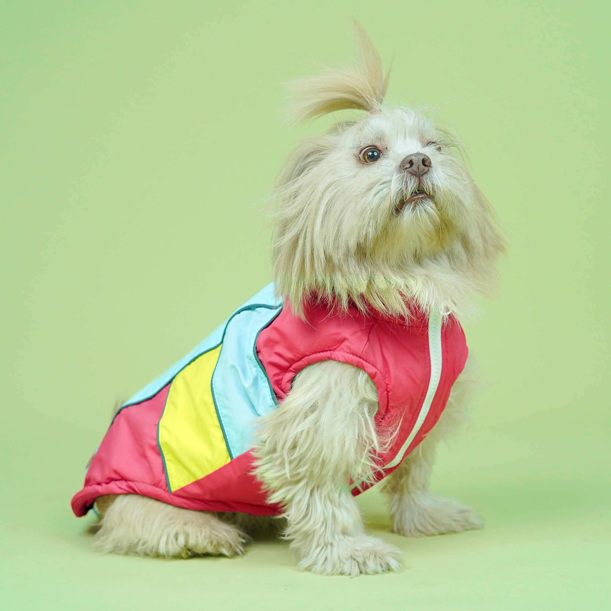 Winterberry - Coral Dog Jacket