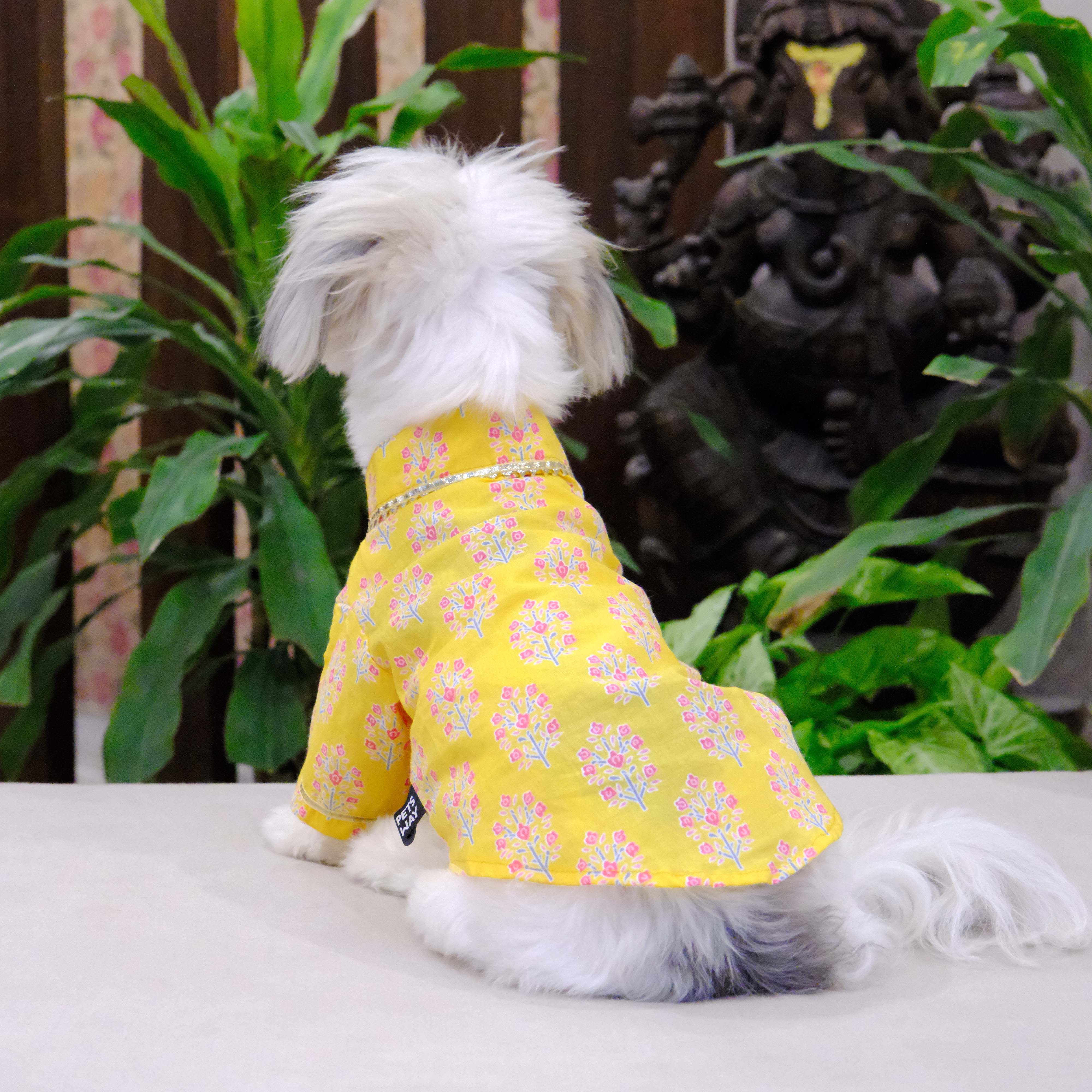 Bandhani Sanganeri- BY Dog Kurta Combo