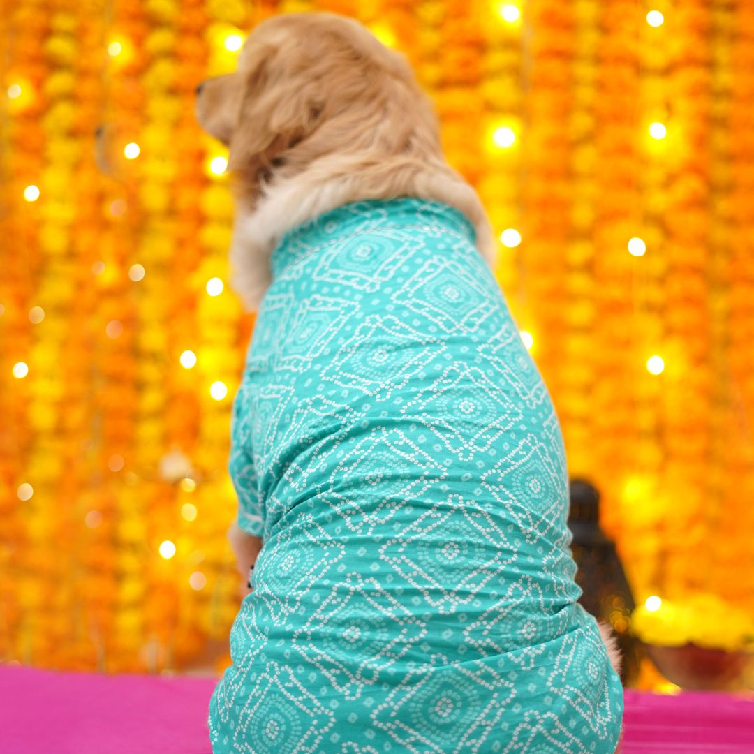 Bandhani - Teal Dog kurta