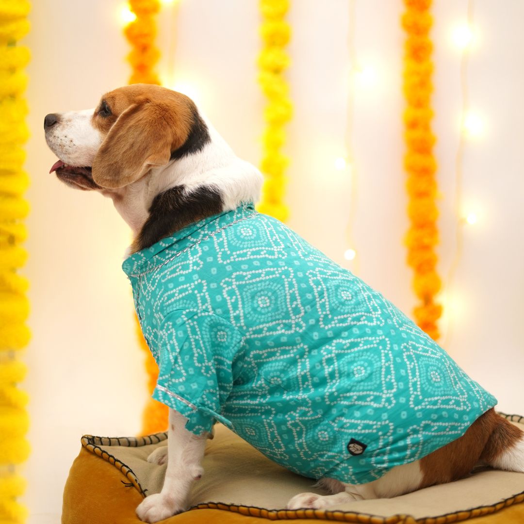 Bandhani - Teal Dog kurta