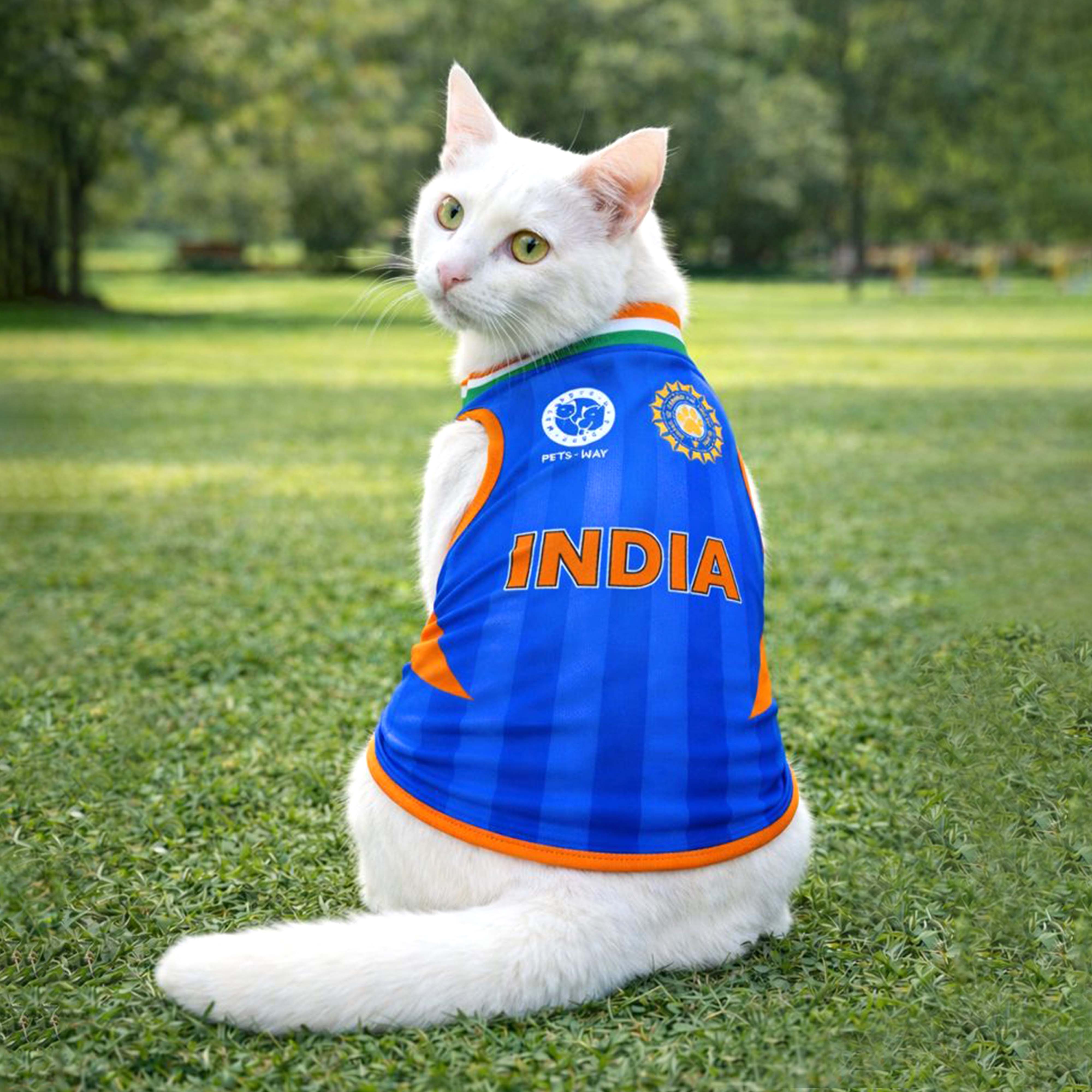 T20 Cat Jersey