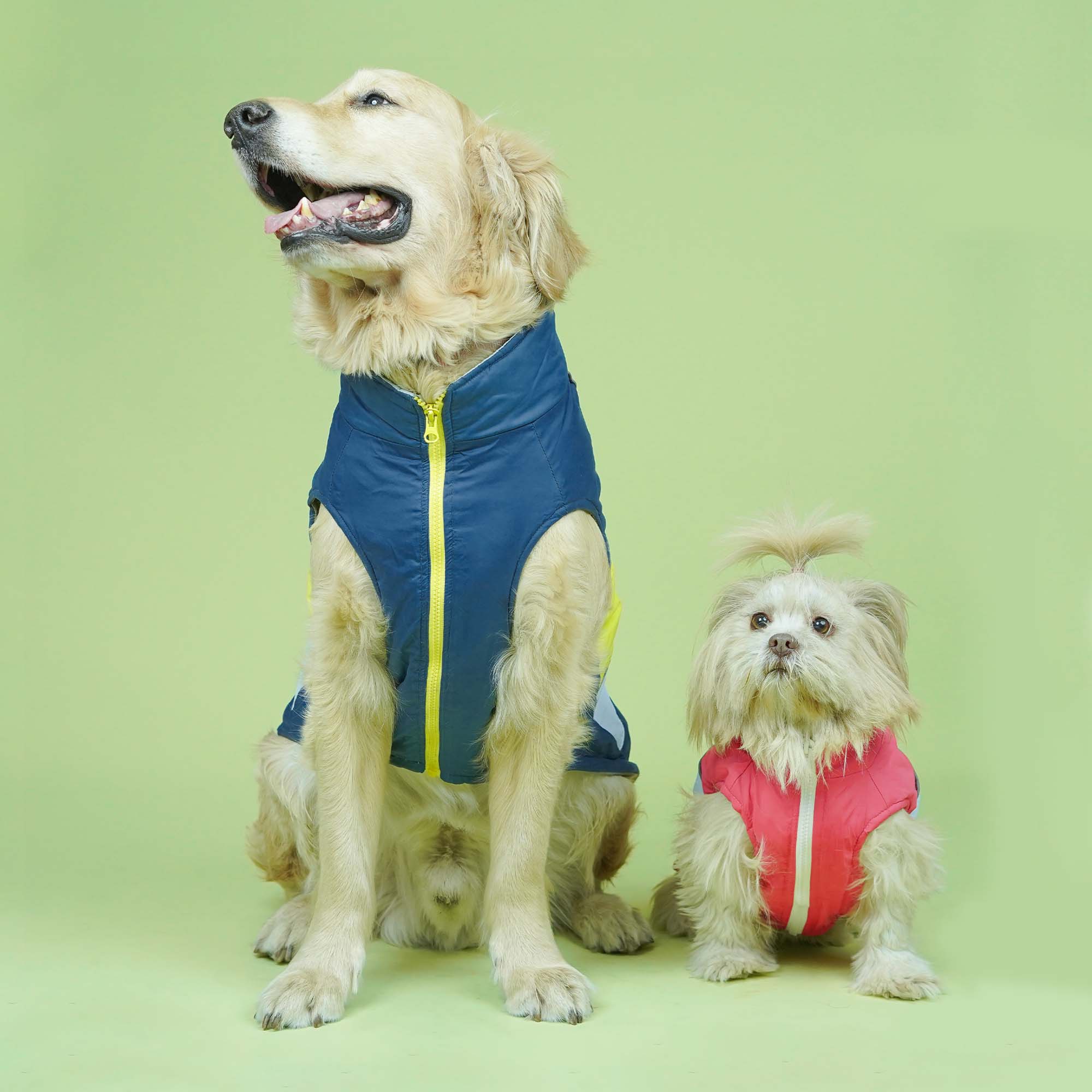 Winterberry - Airforce Dog Jacket