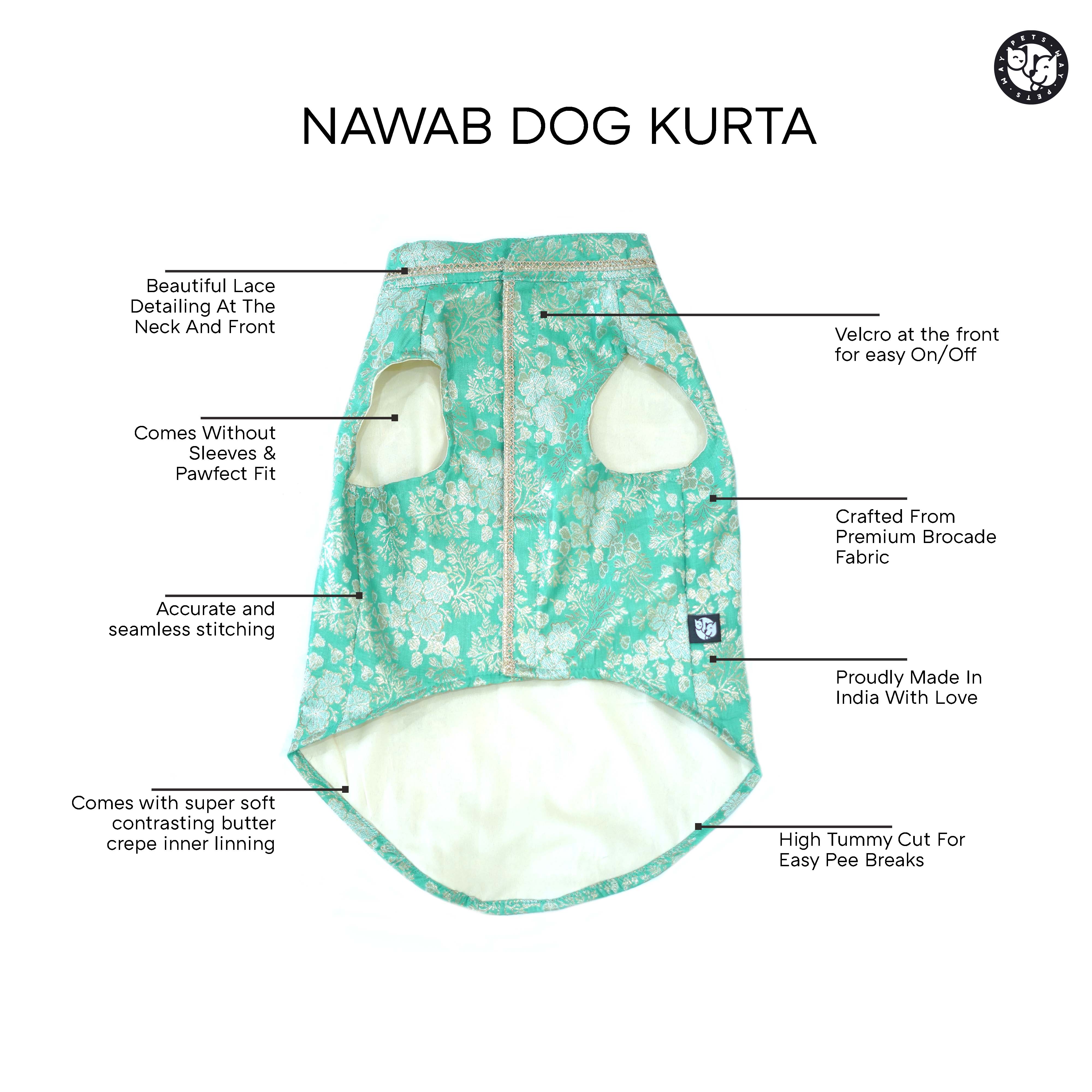 Nawab - Teal Dog kurta