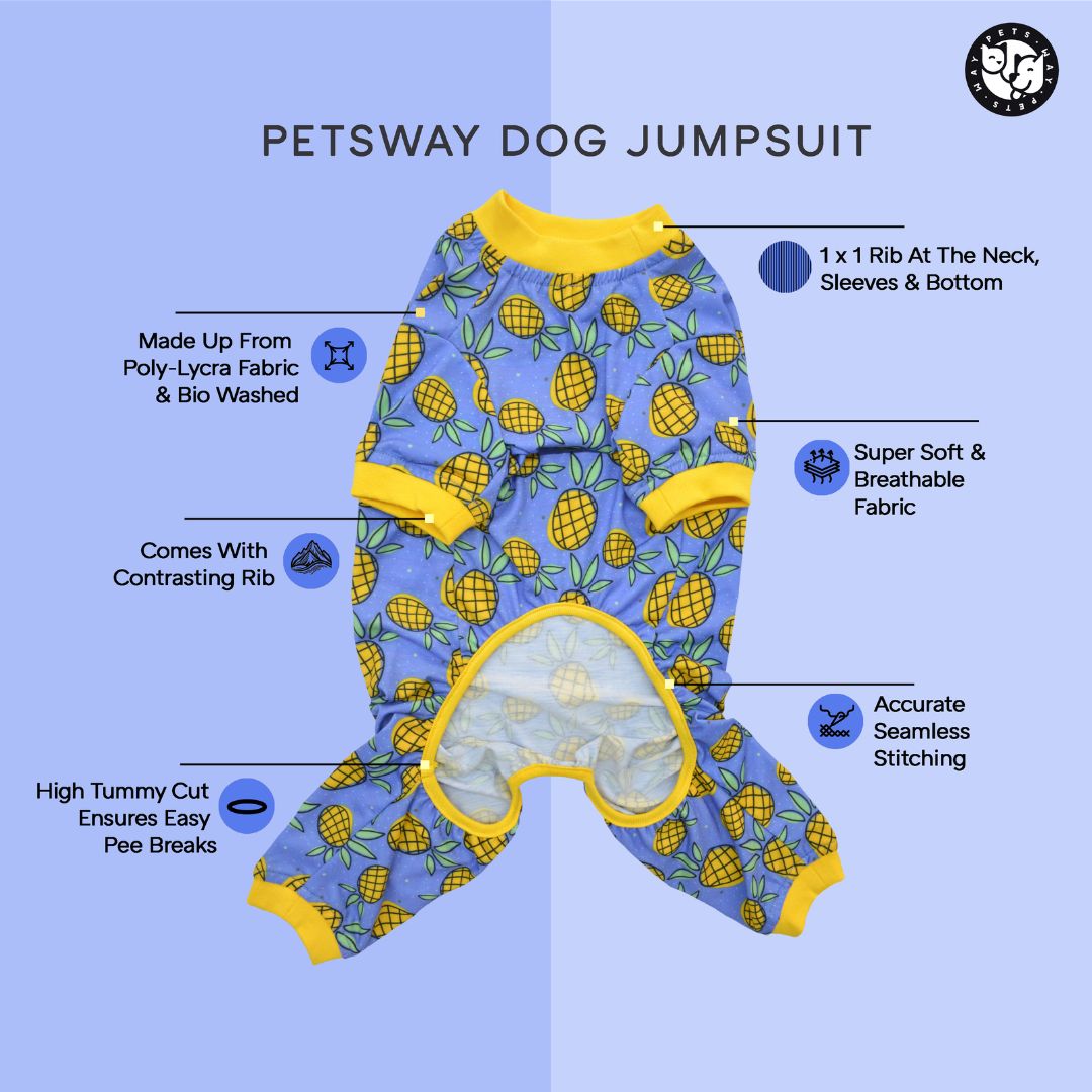 feature image of jumpsuits-petsway