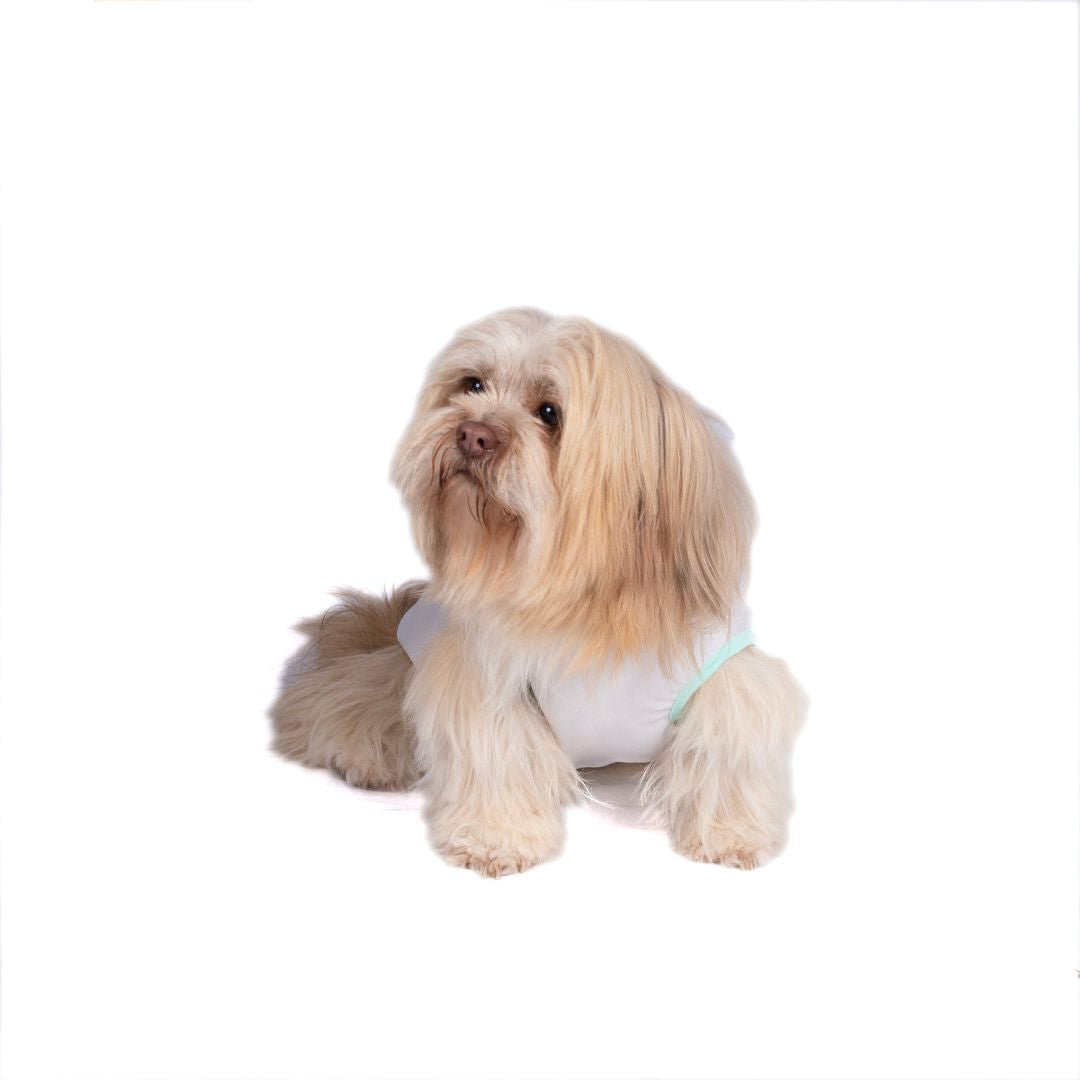 Holi Vest - White - Pets Way