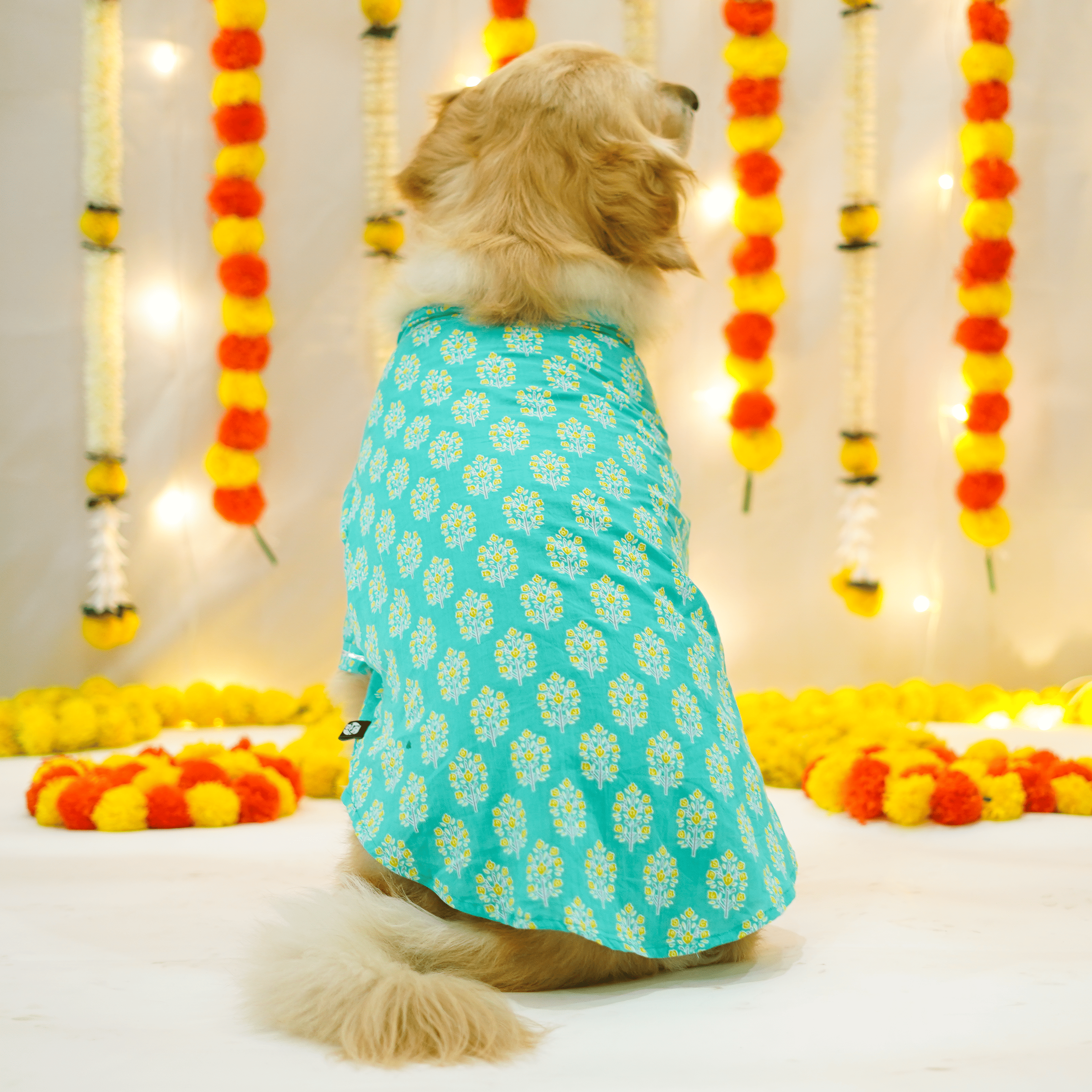 Sanganeri- Teal Dog kurta