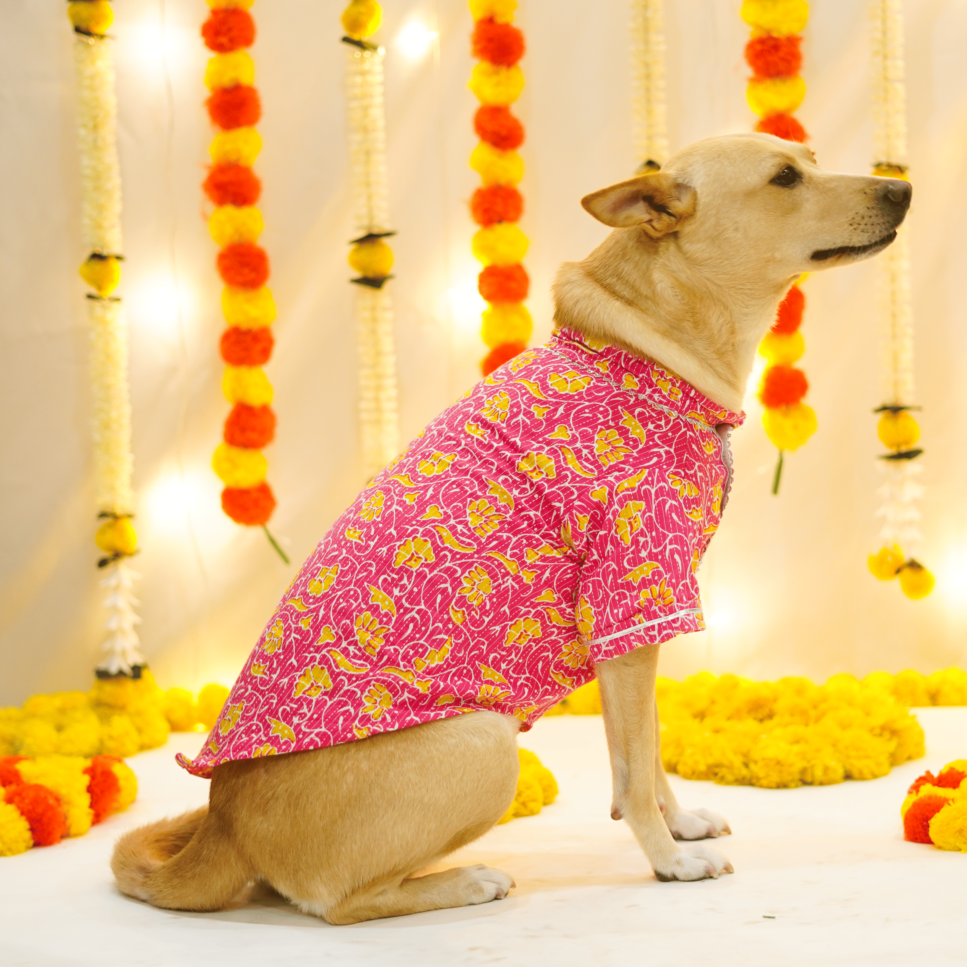 Floral Kantha - Fuchsia Dog kurta
