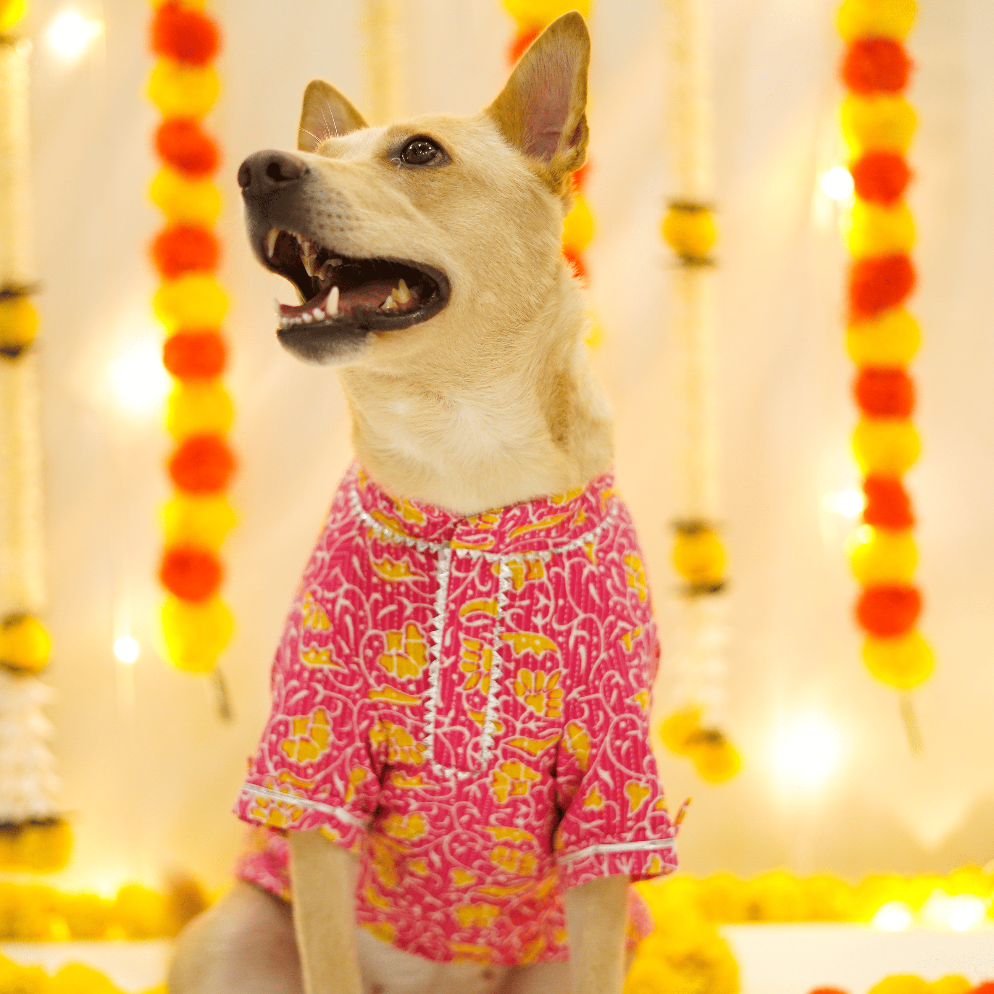 Floral Kantha - Fuchsia Dog kurta