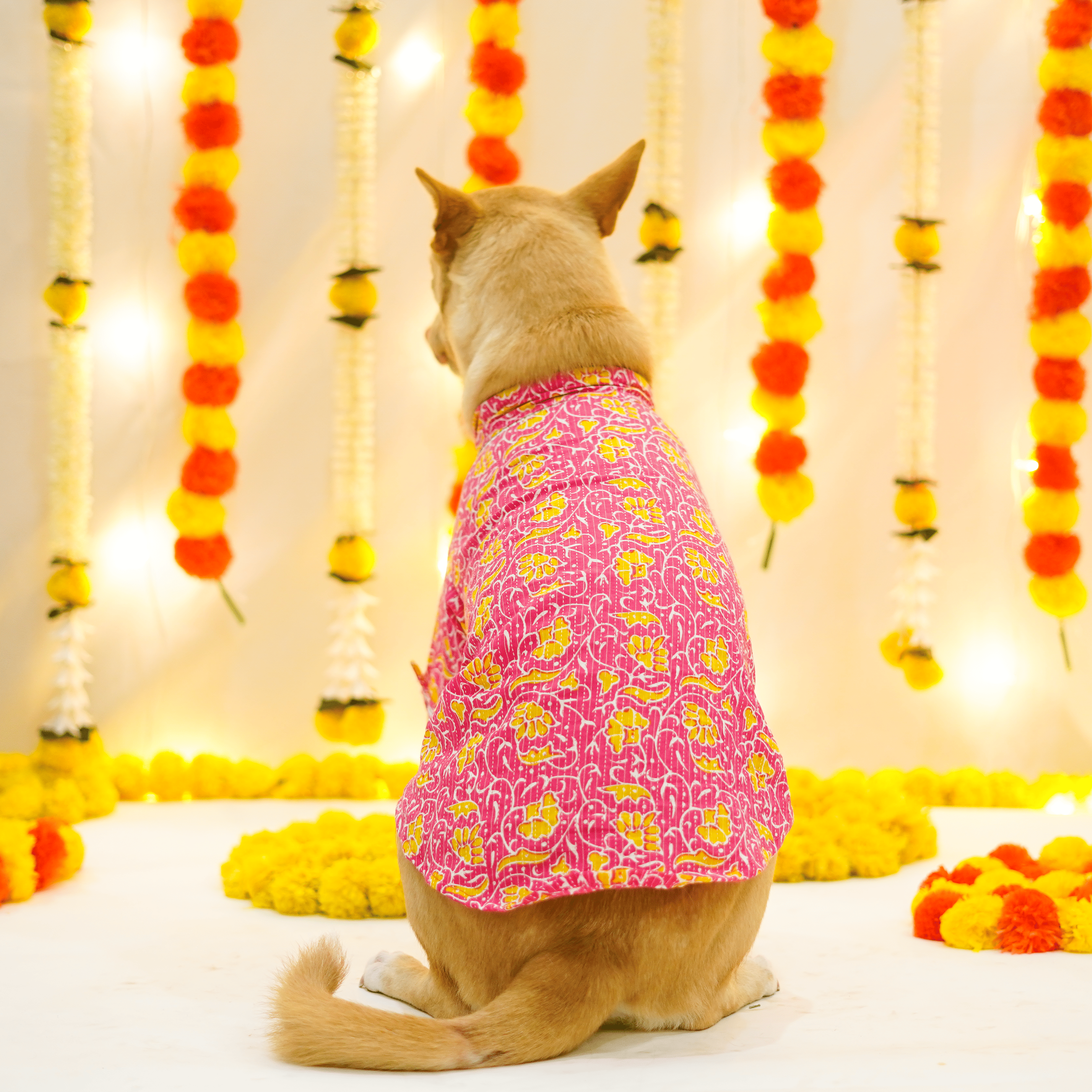 Floral Kantha - Fuchsia Dog kurta