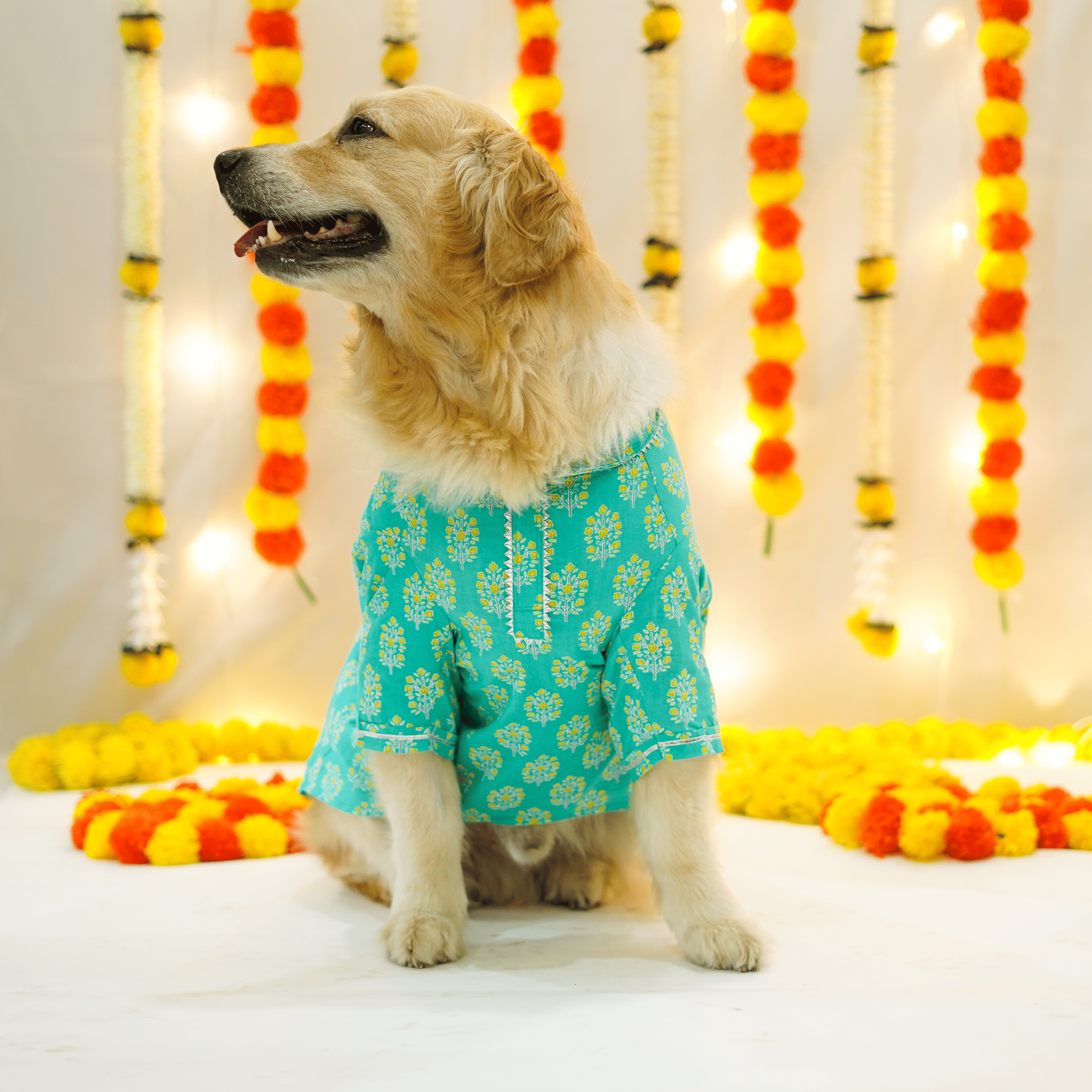 Sanganeri- Teal Dog kurta