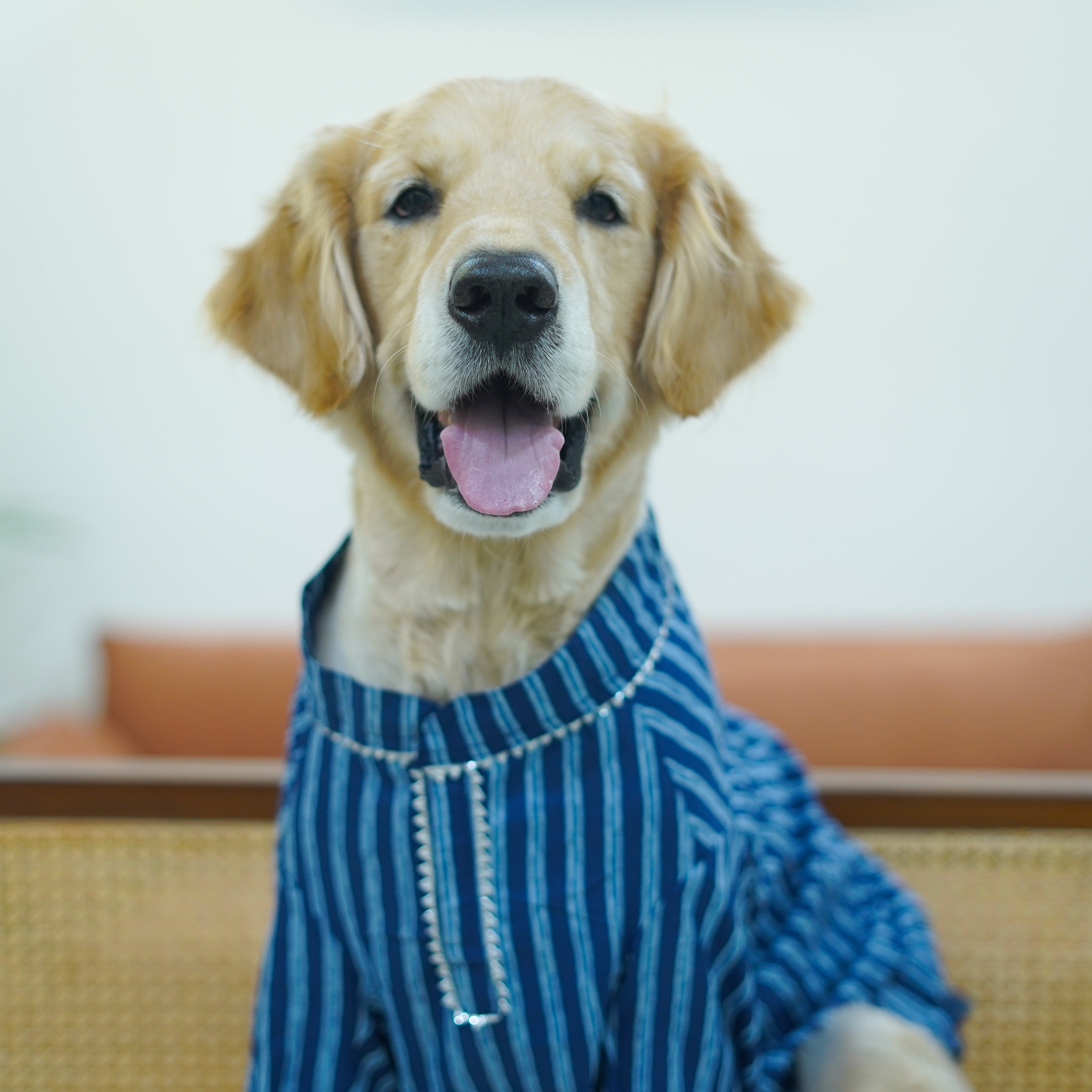 Striped – Blue Dog Kurta