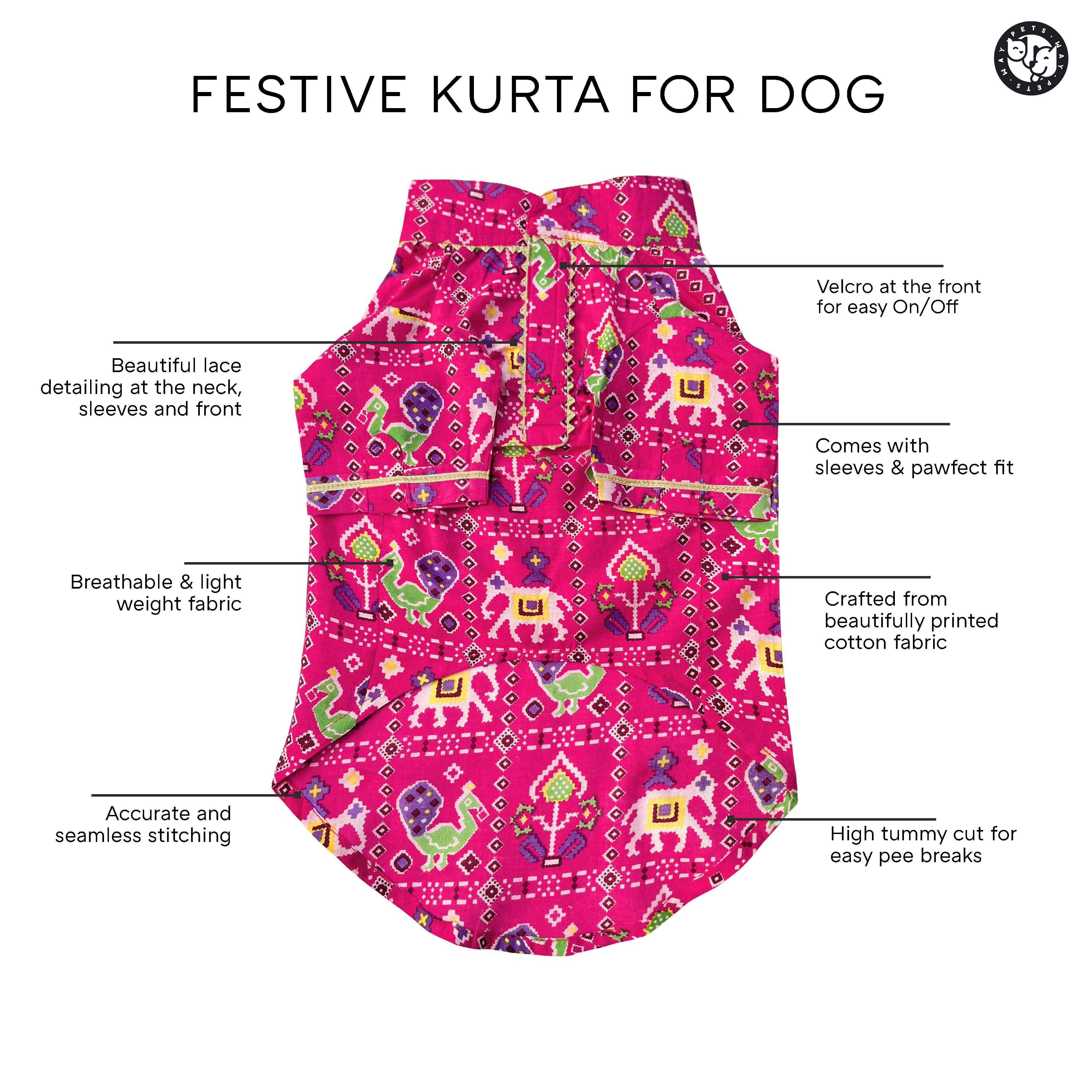 Patola - Fuchsia Dog Kurta