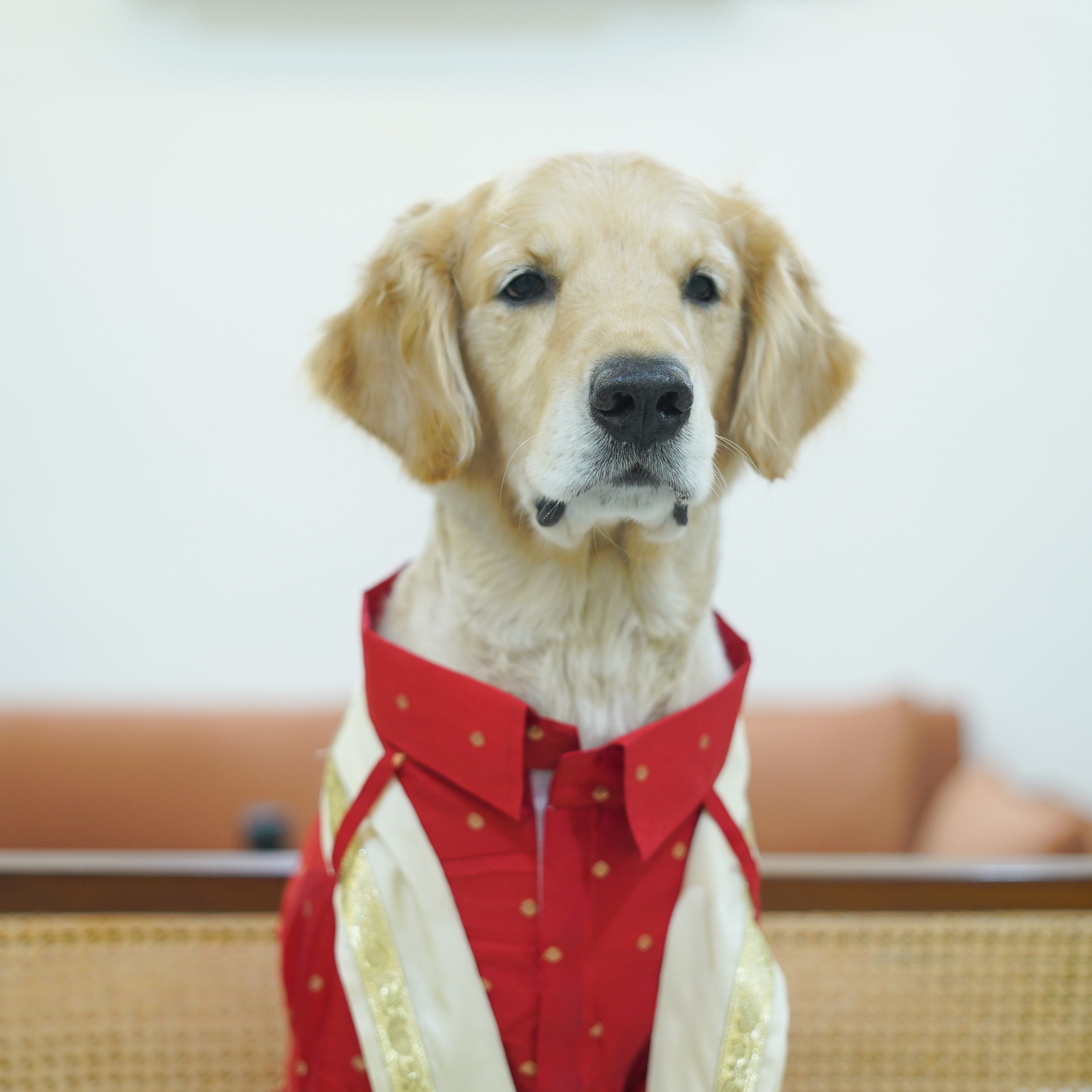 MUNDU - Red Dog Shirt