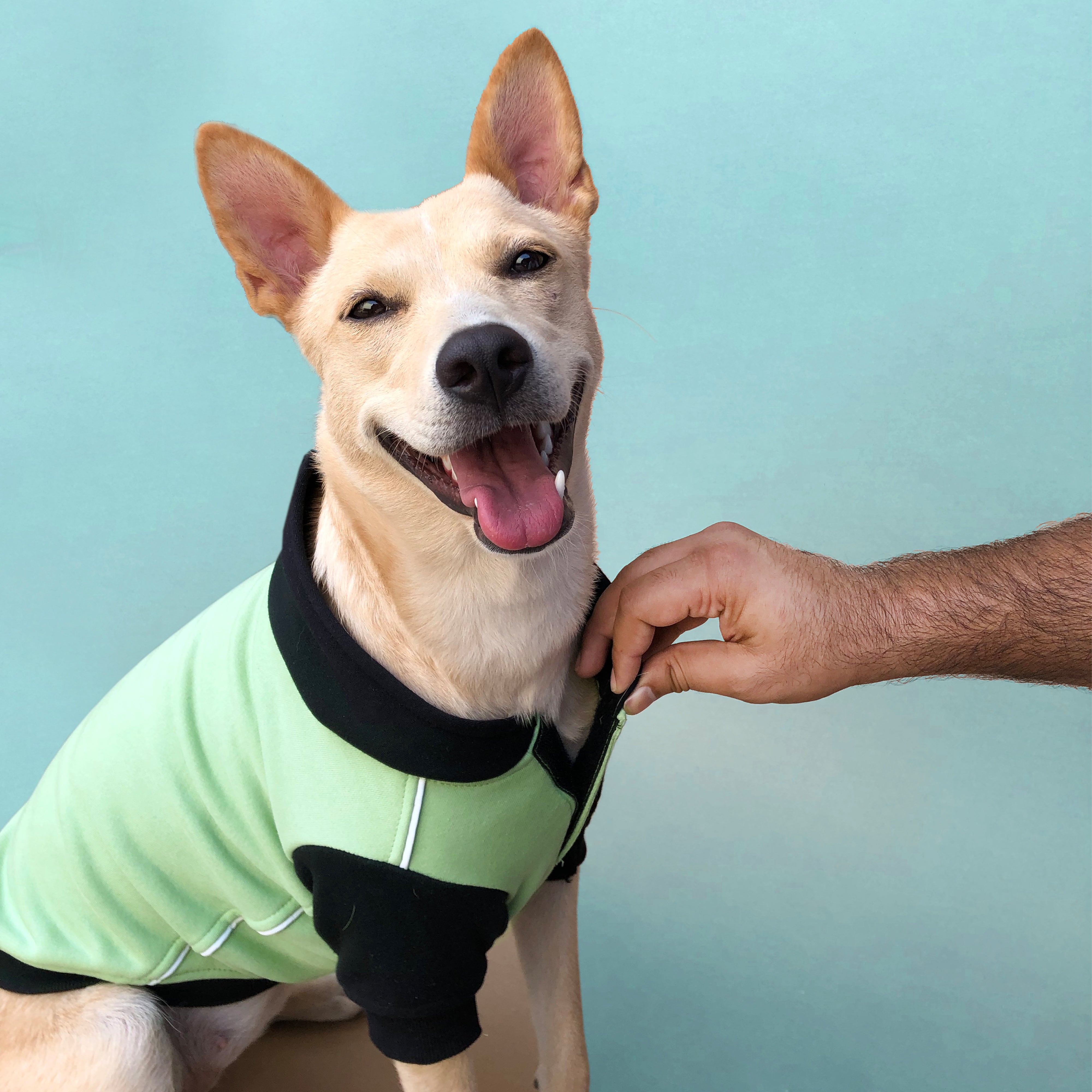 Winterberry Snow Flake Combo