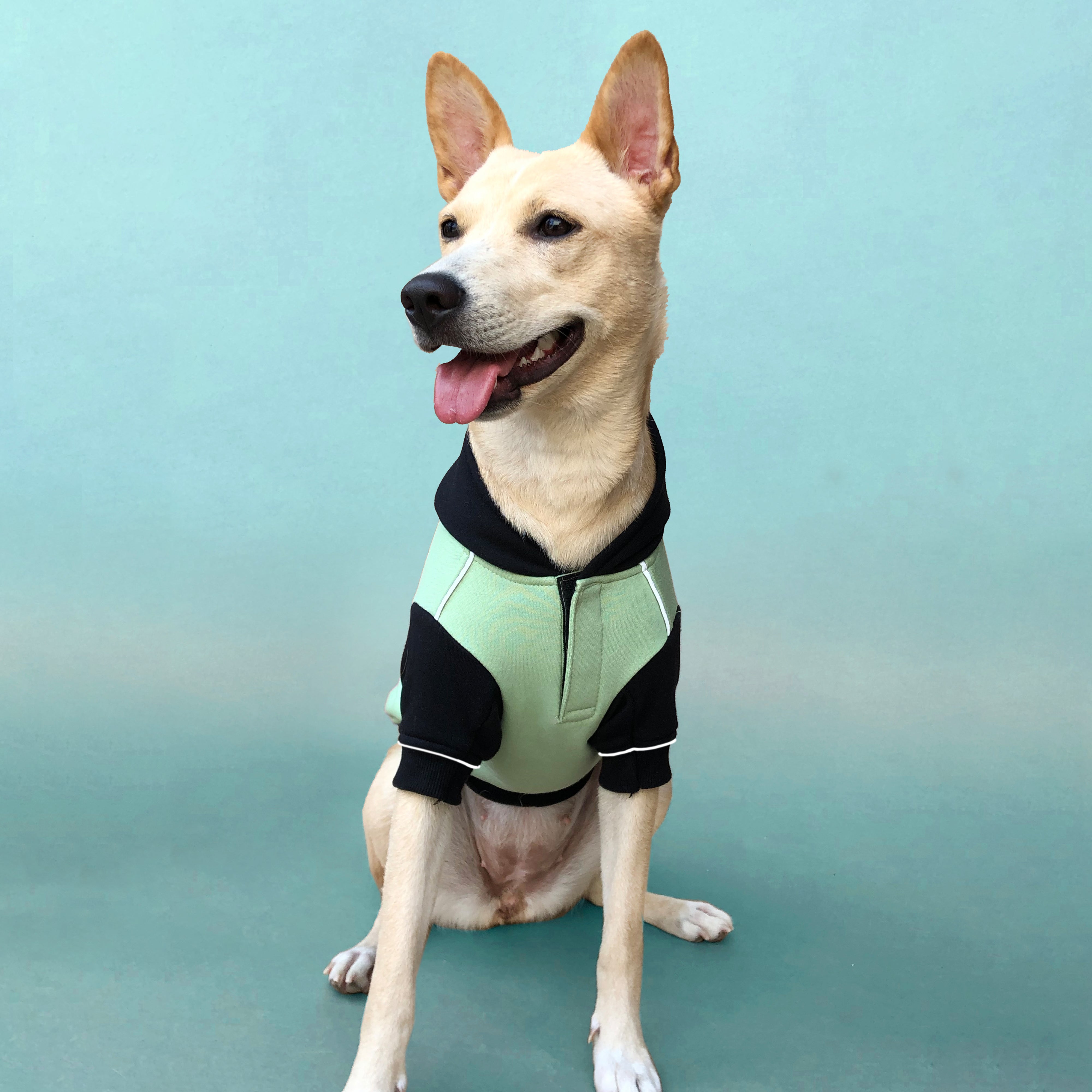 Winterberry Snow Flake Combo