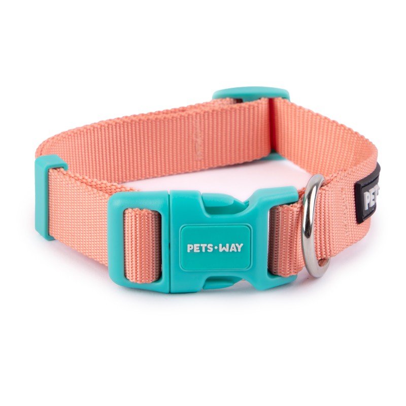 Peach Dog Collar Leash Set