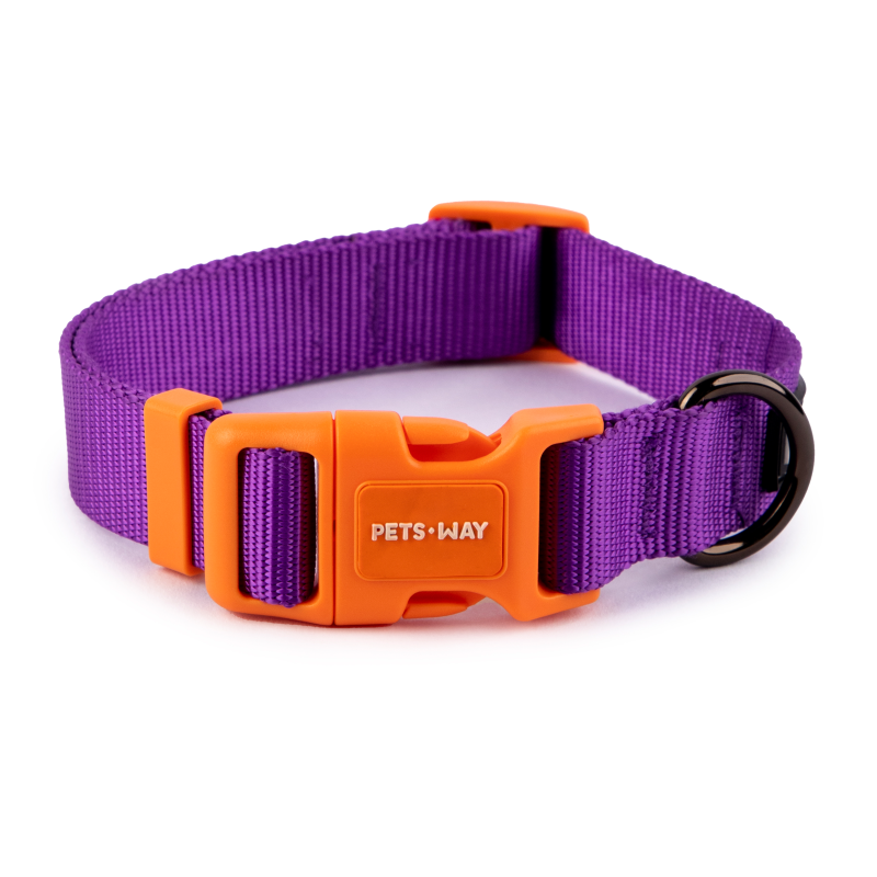 Amethyst Dog Collar Leash Set