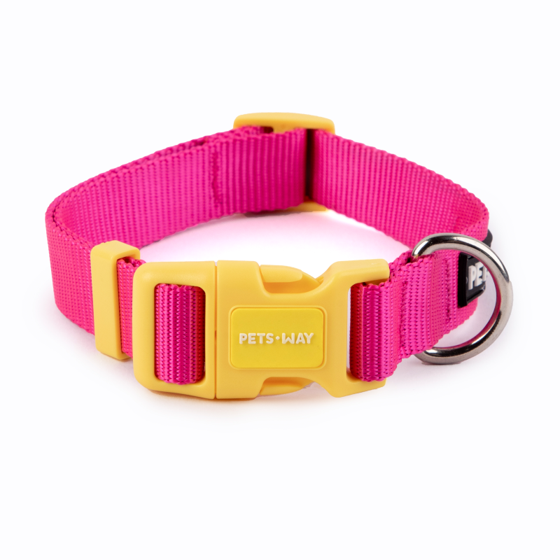 Fuchsia Dog Collar Leash Set