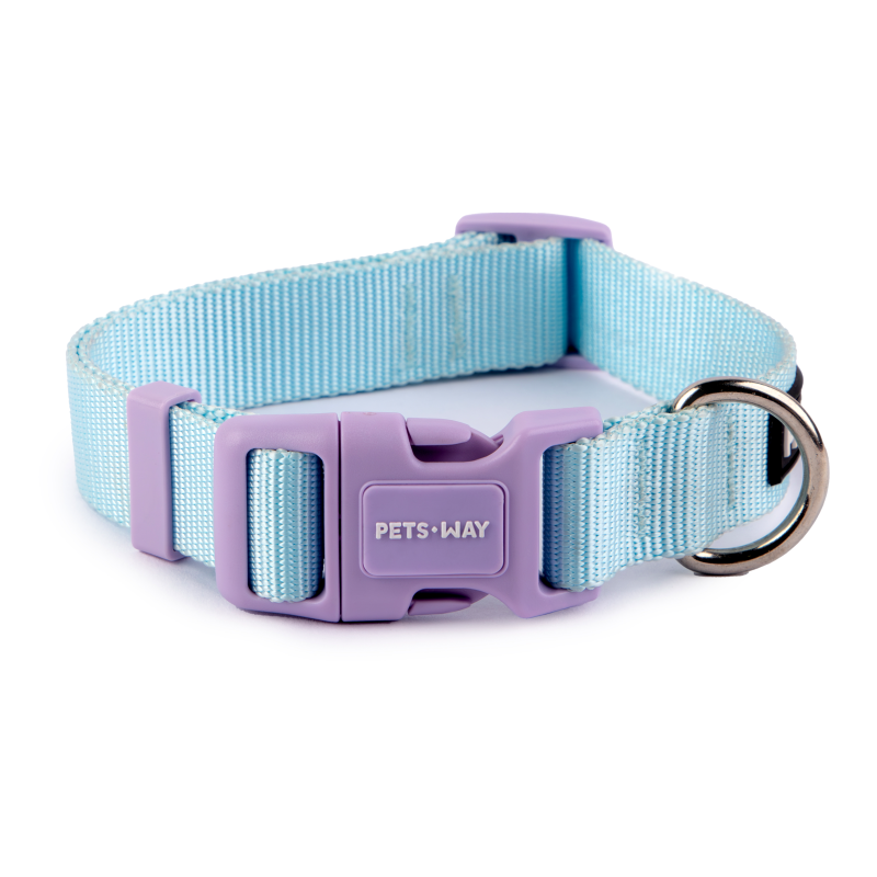 Sky Dog Collar Leash Set