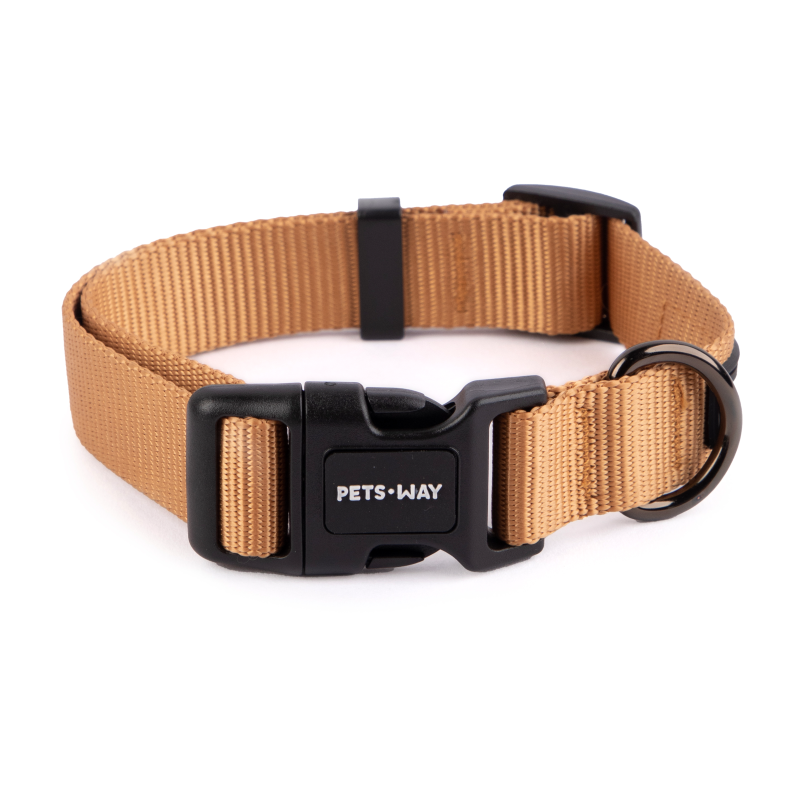 Honey Dog Collar Leash Set