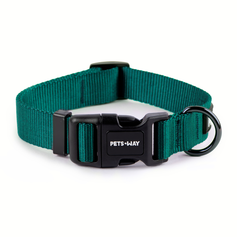 Emerald Dog Collar Leash Set