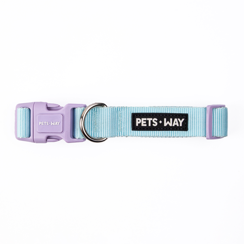 Sky Dog Collar Leash Set