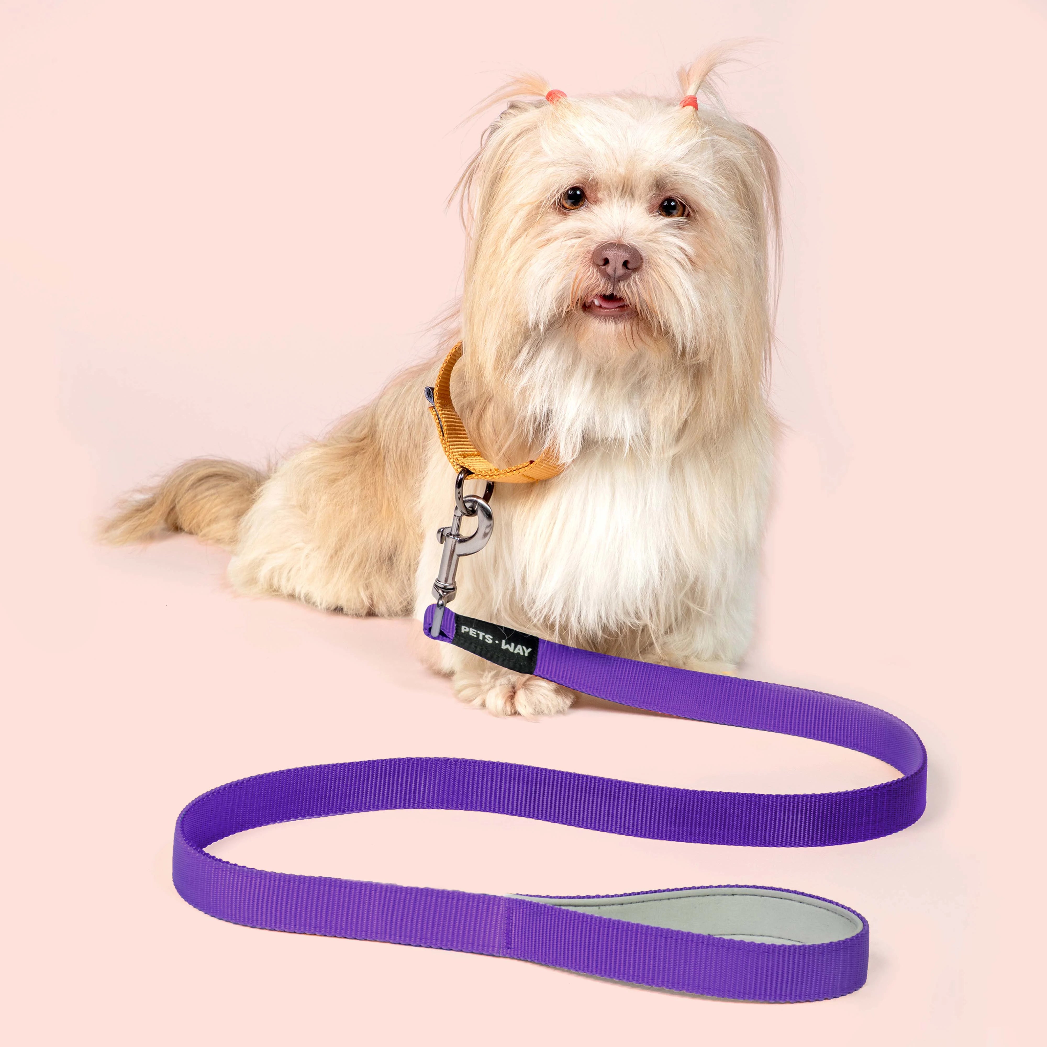 Amethyst Dog Leash