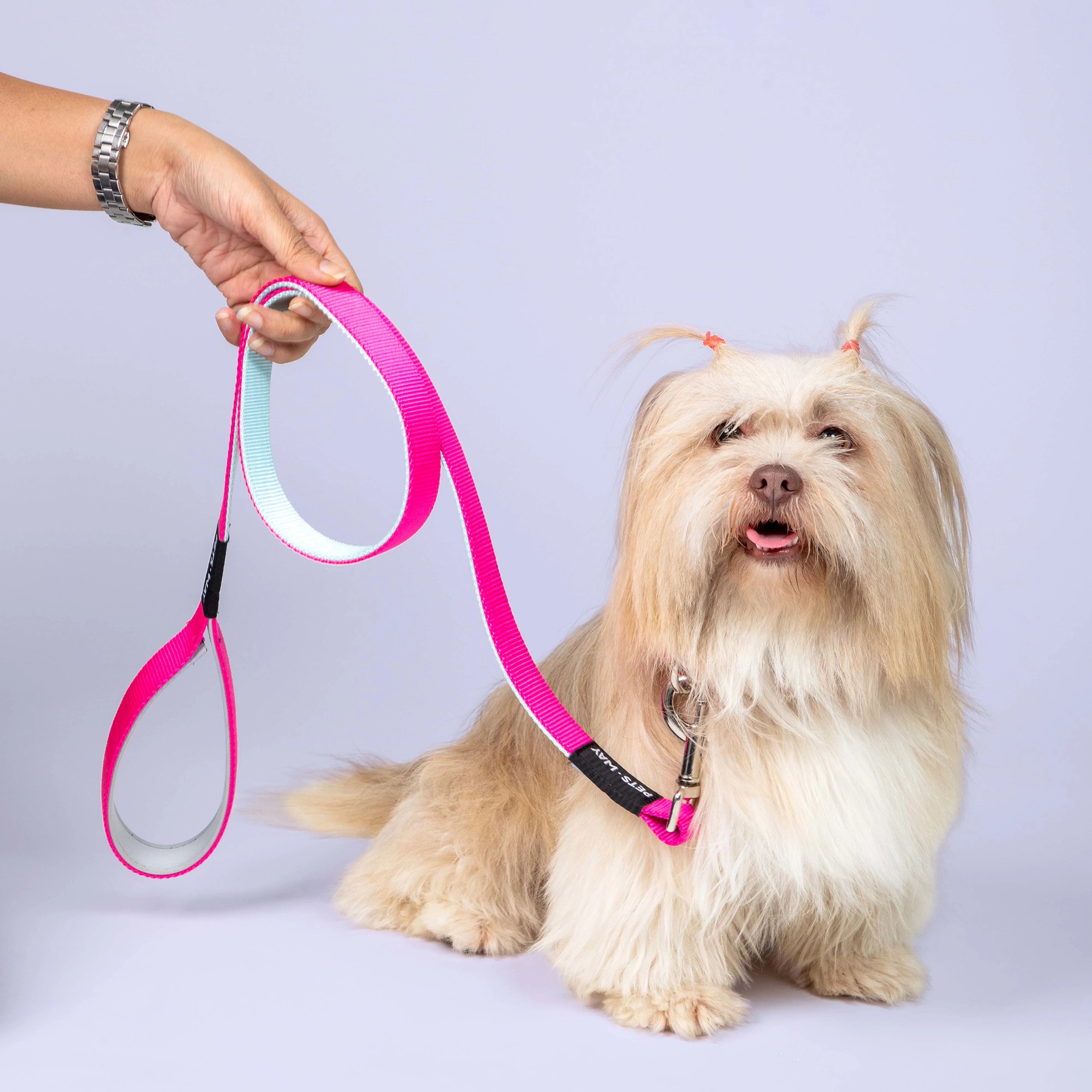 Fuschia Dog Leash