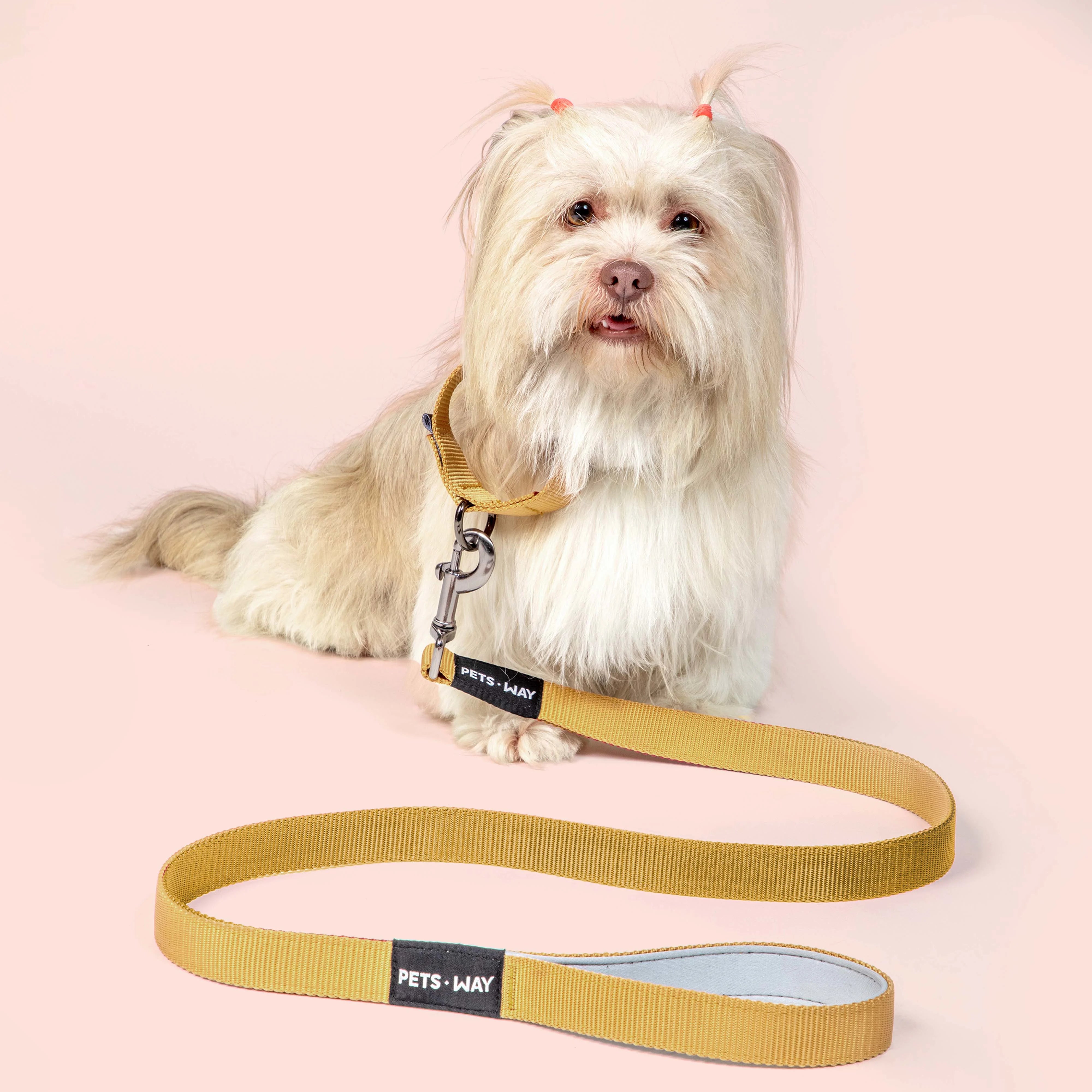 Honey padded Dog Leash