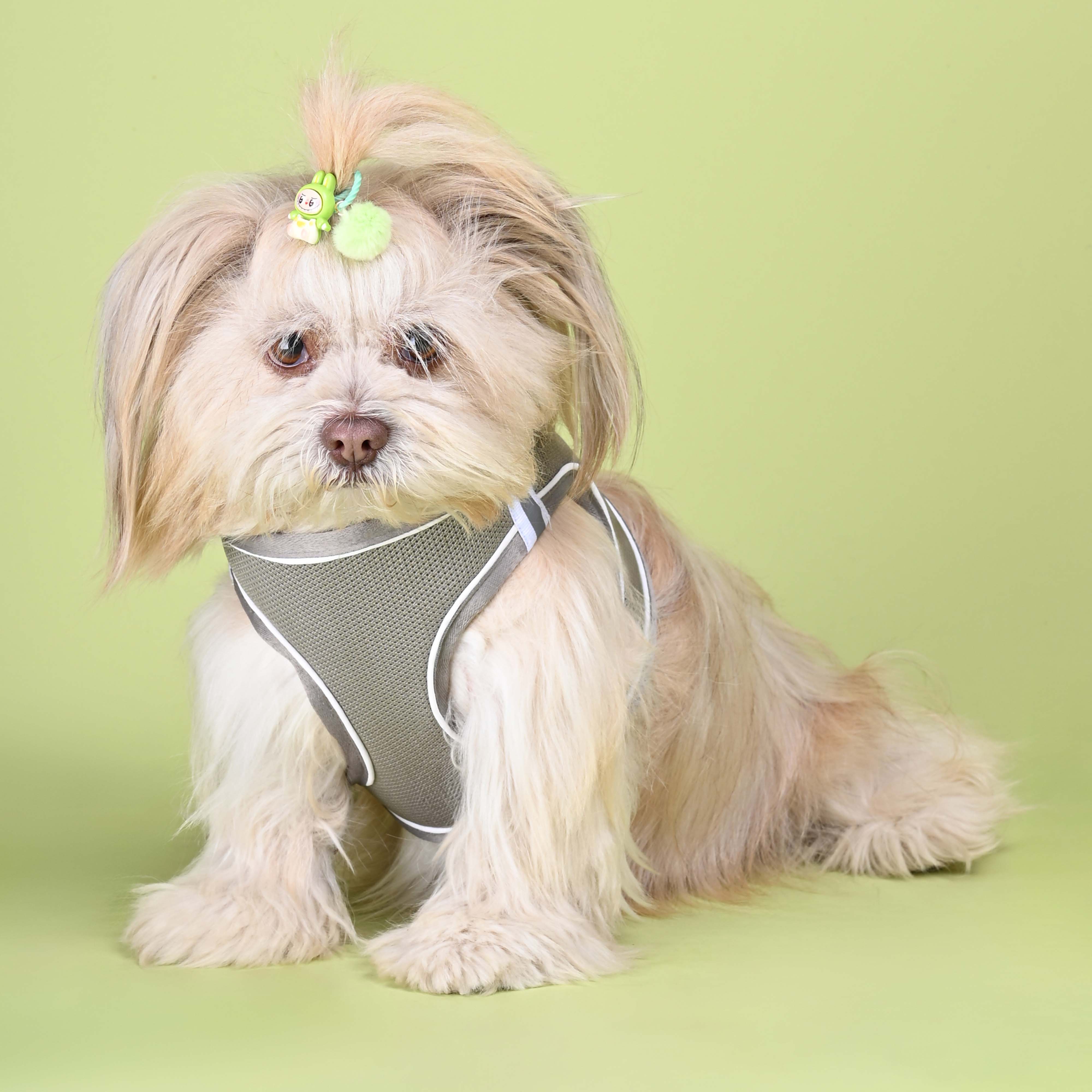 Grey Full Body Comfort Harness (Small Breed)