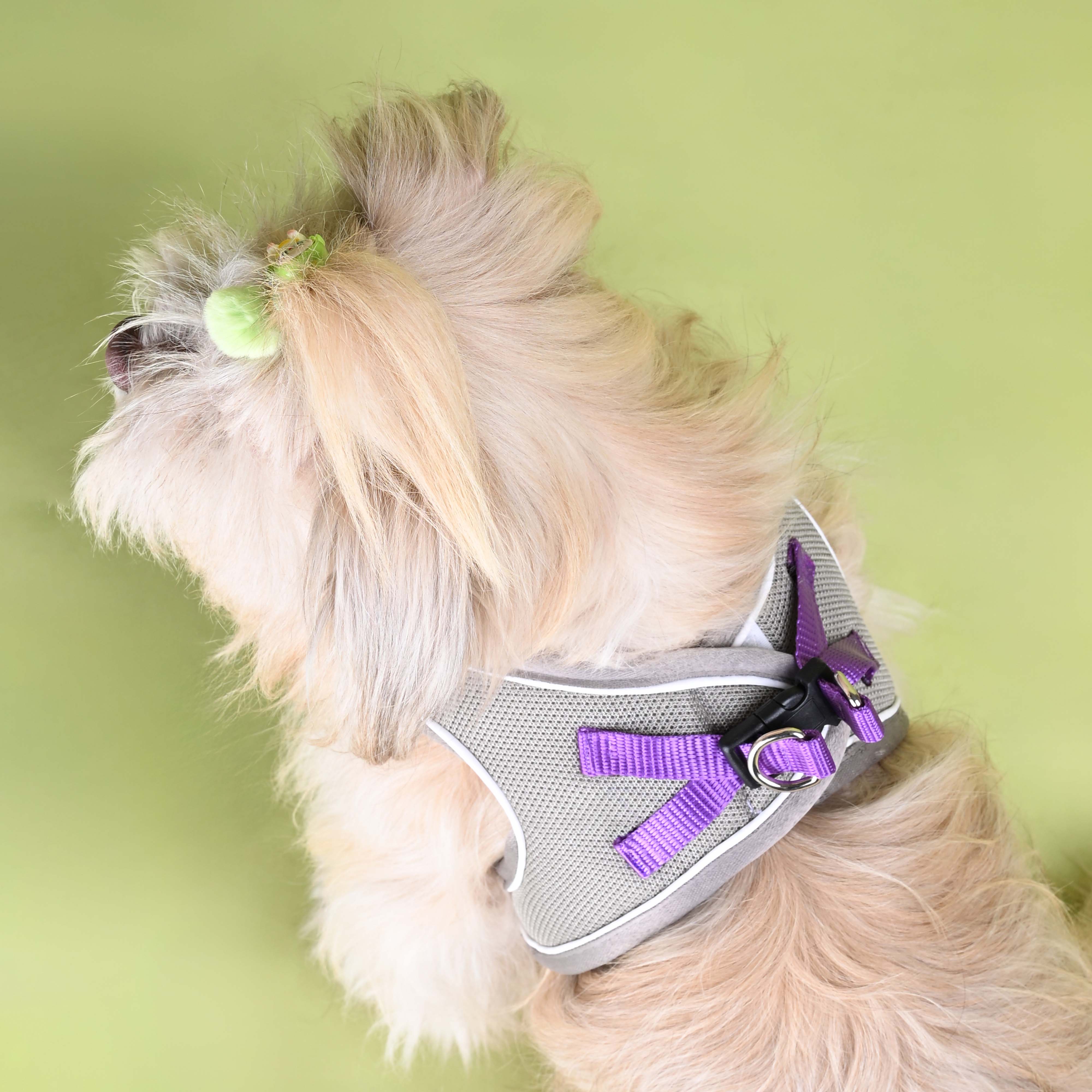 Grey Full Body Comfort Harness (Small Breed)
