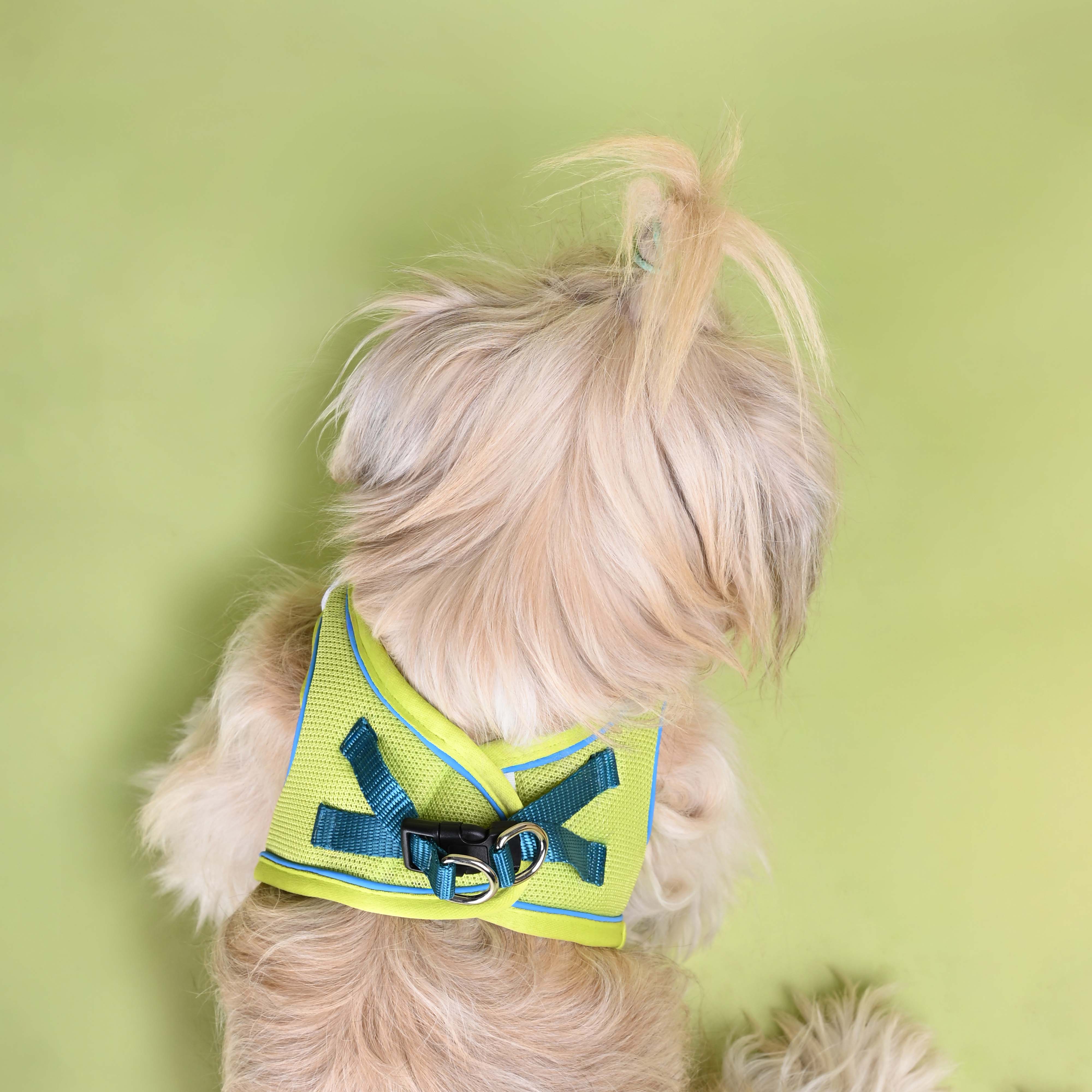 Neon Full Body Comfort Harness (Small Breed)