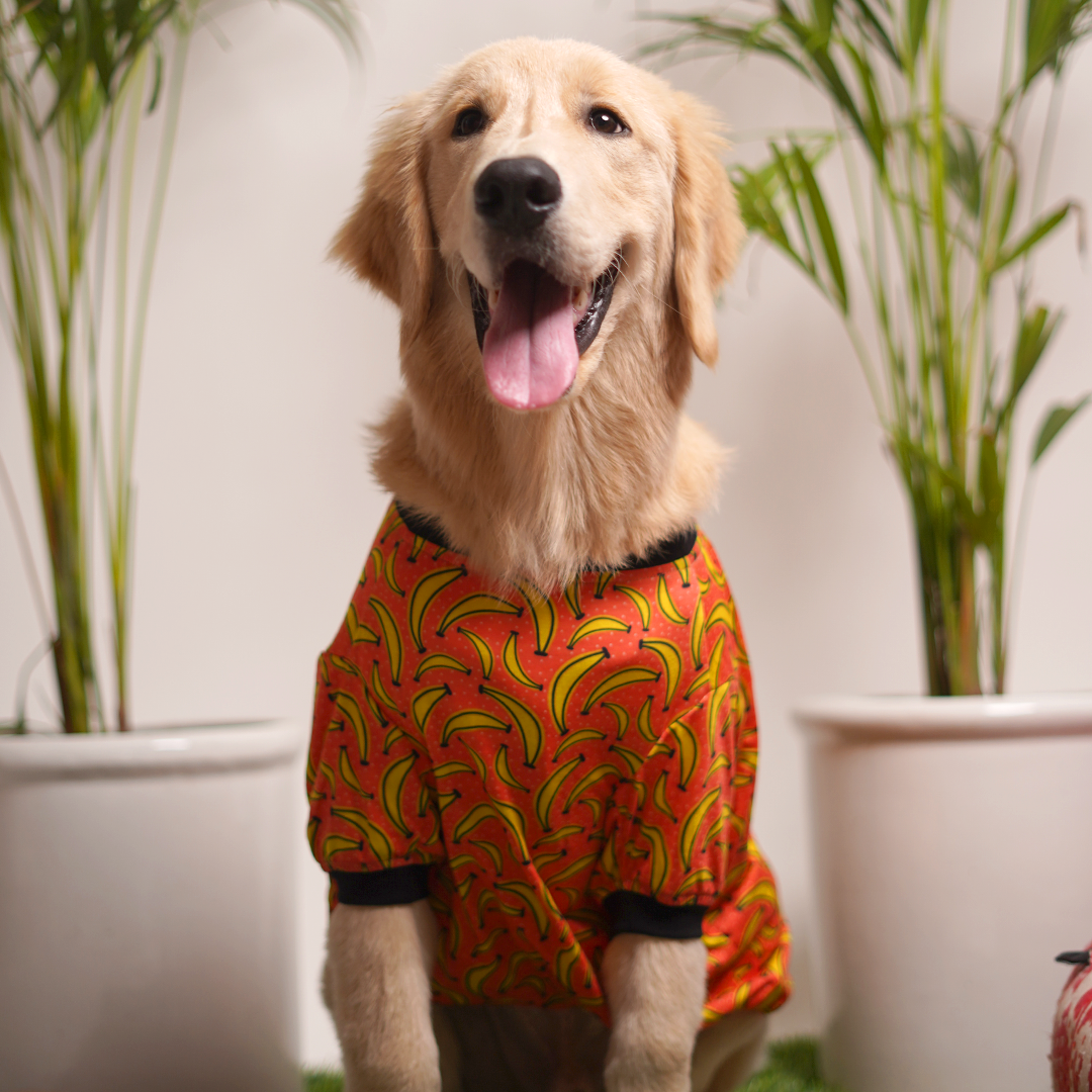 Mad Over Banana Printed Dog T-Shirt